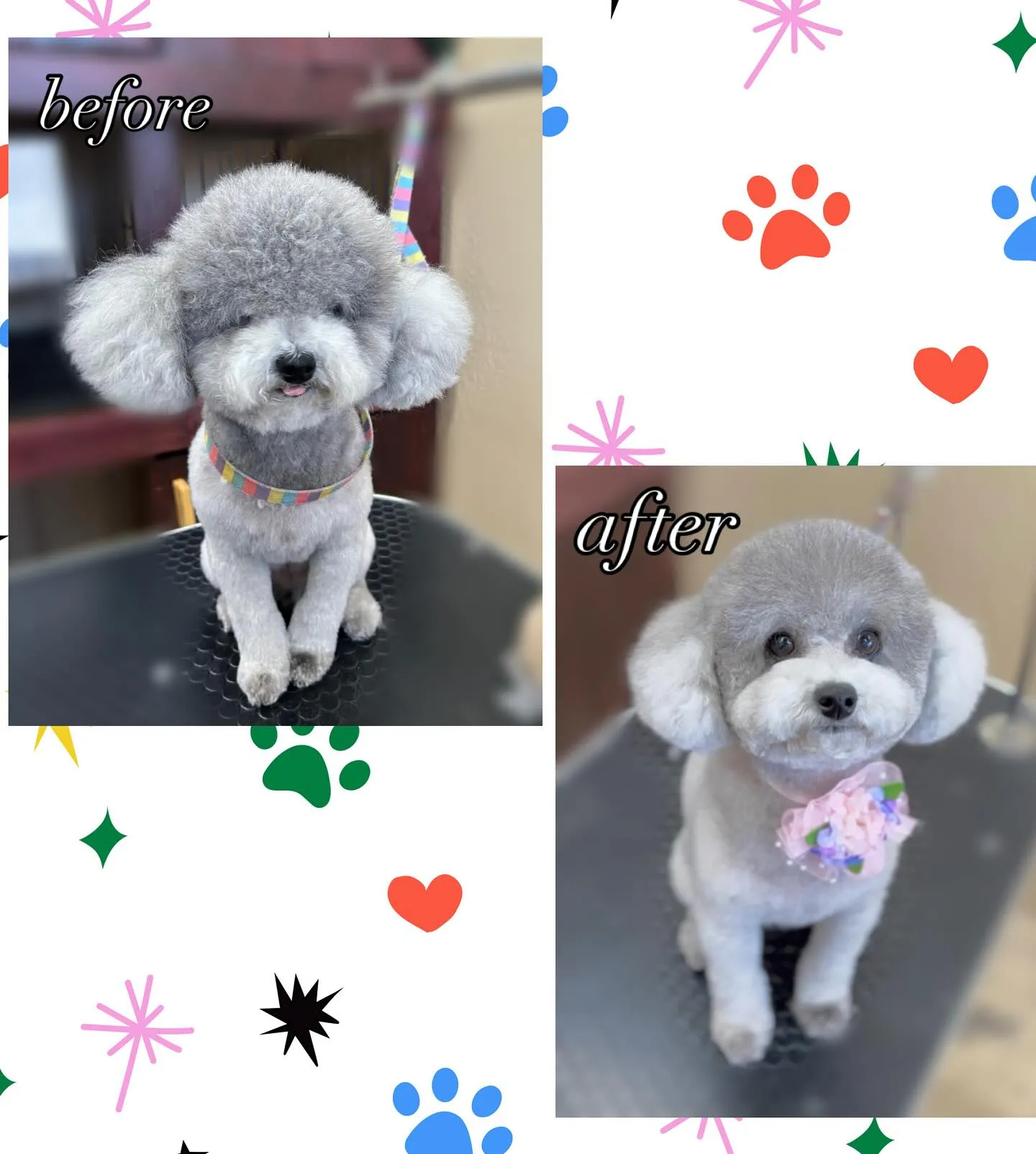 あんずちゃん💞