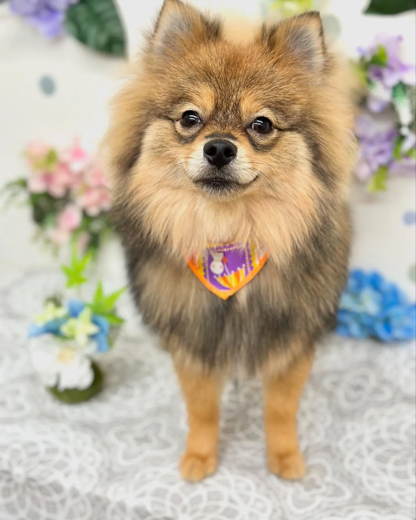 こてつくん🦁🧡