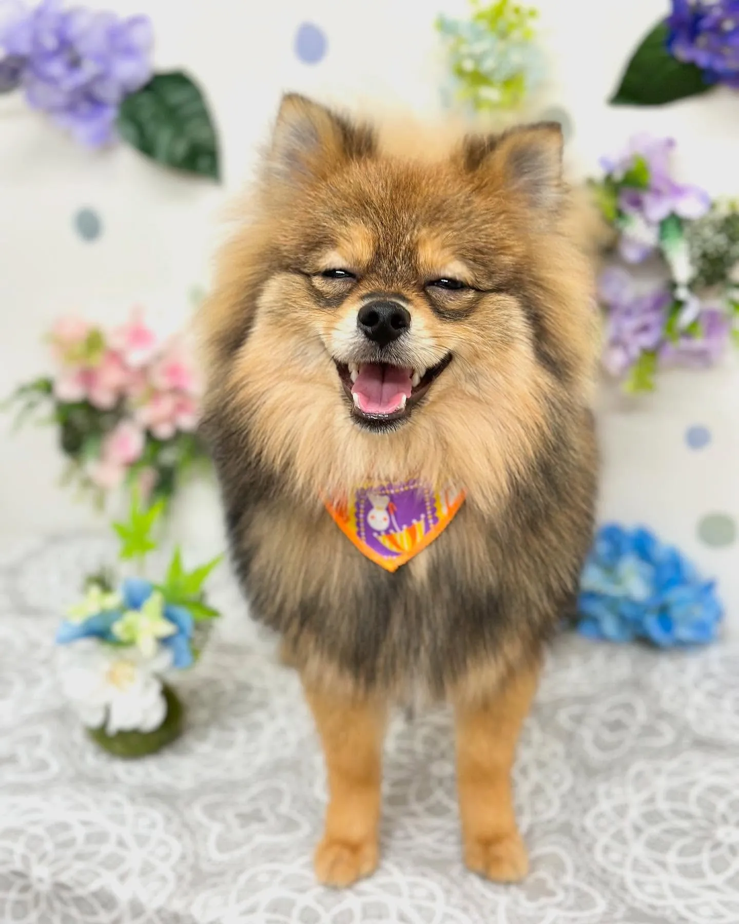 こてつくん🦁🧡