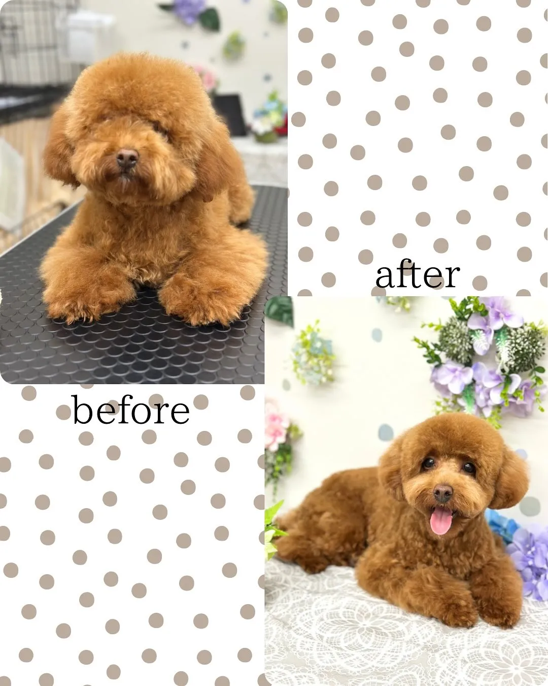 💠けんしんくん💠