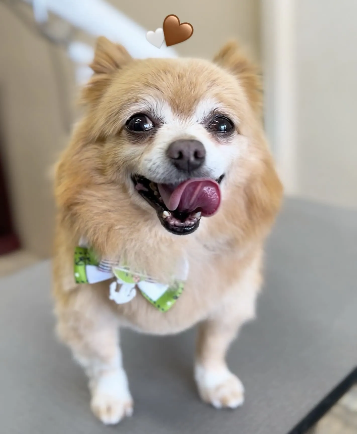 ジャックくん💞