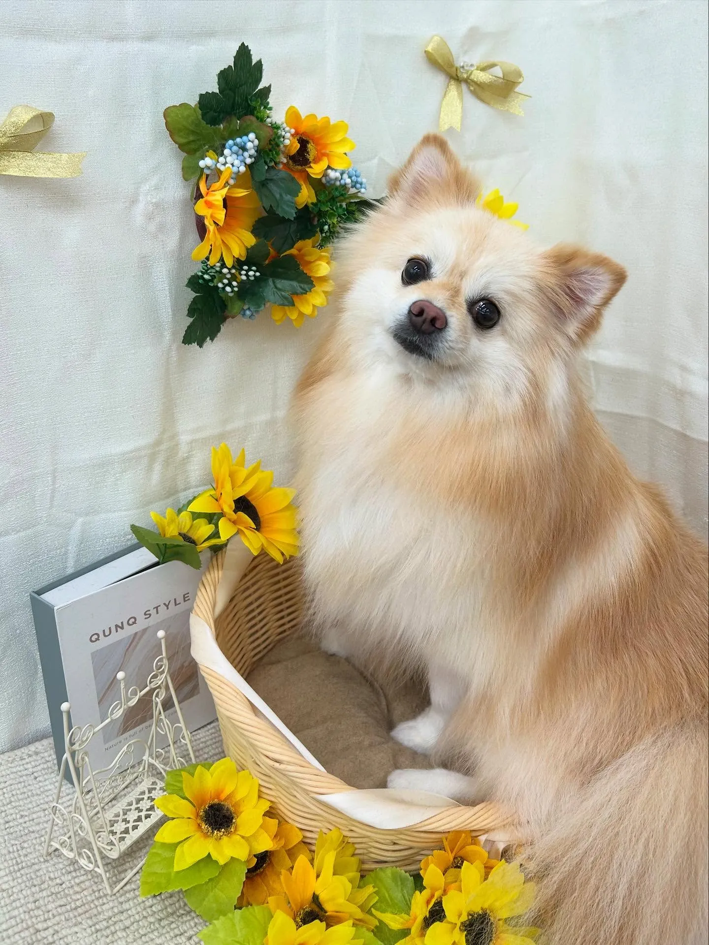 こまちちゃん💞