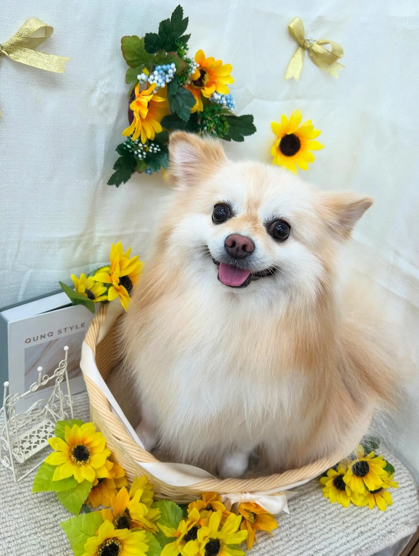 こまちちゃん💞