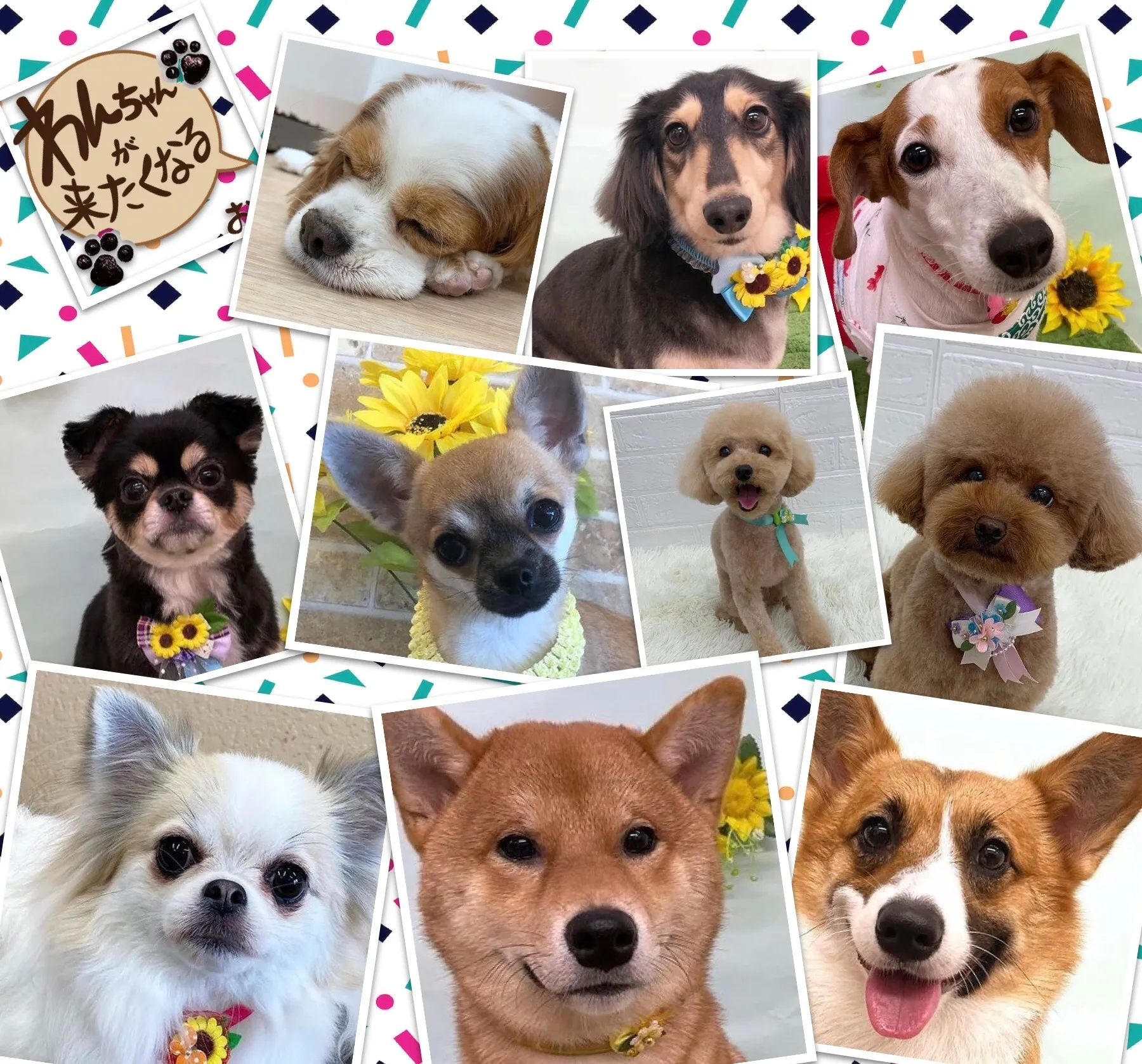 ジメジメ季節の過ごし方