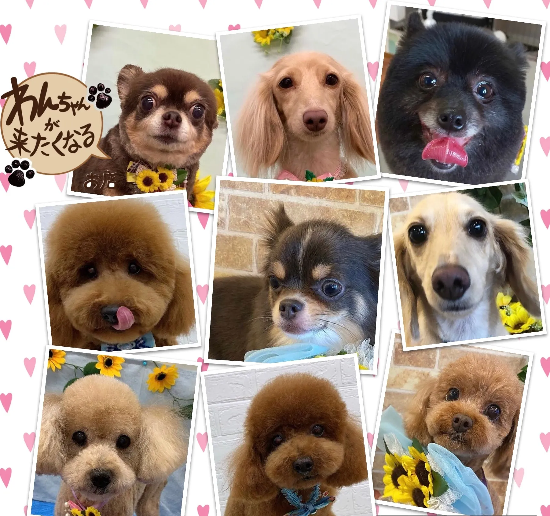 ジメジメした季節の過ごし方