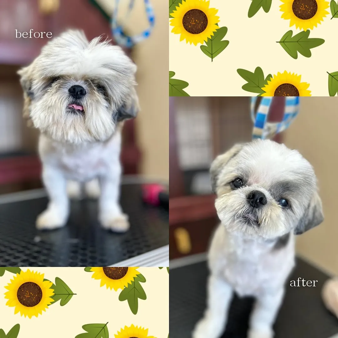 ボタンくん‪🍑