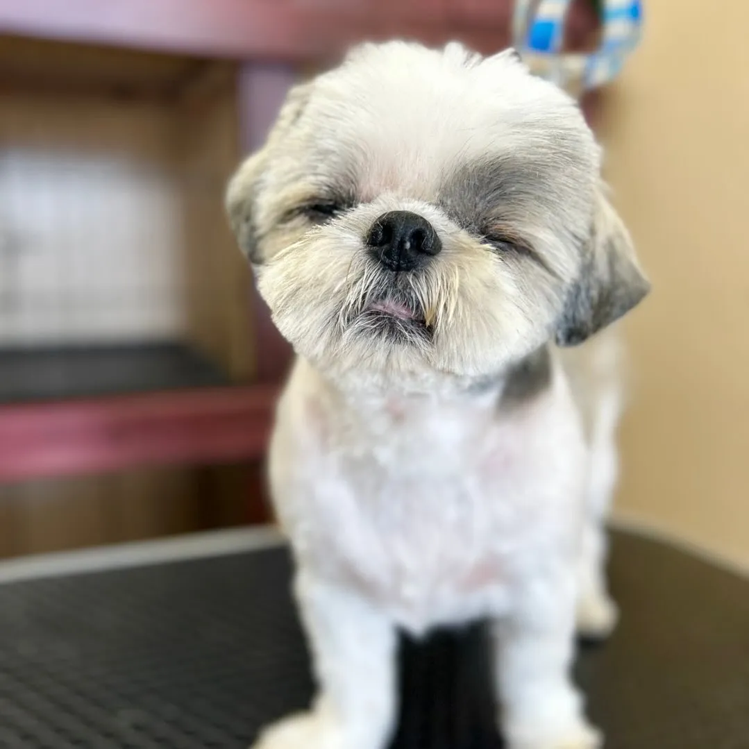 ボタンくん‪🍑