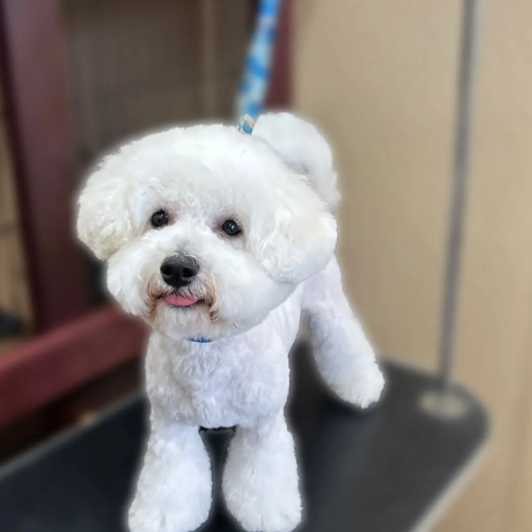 じゅるるくん🌻