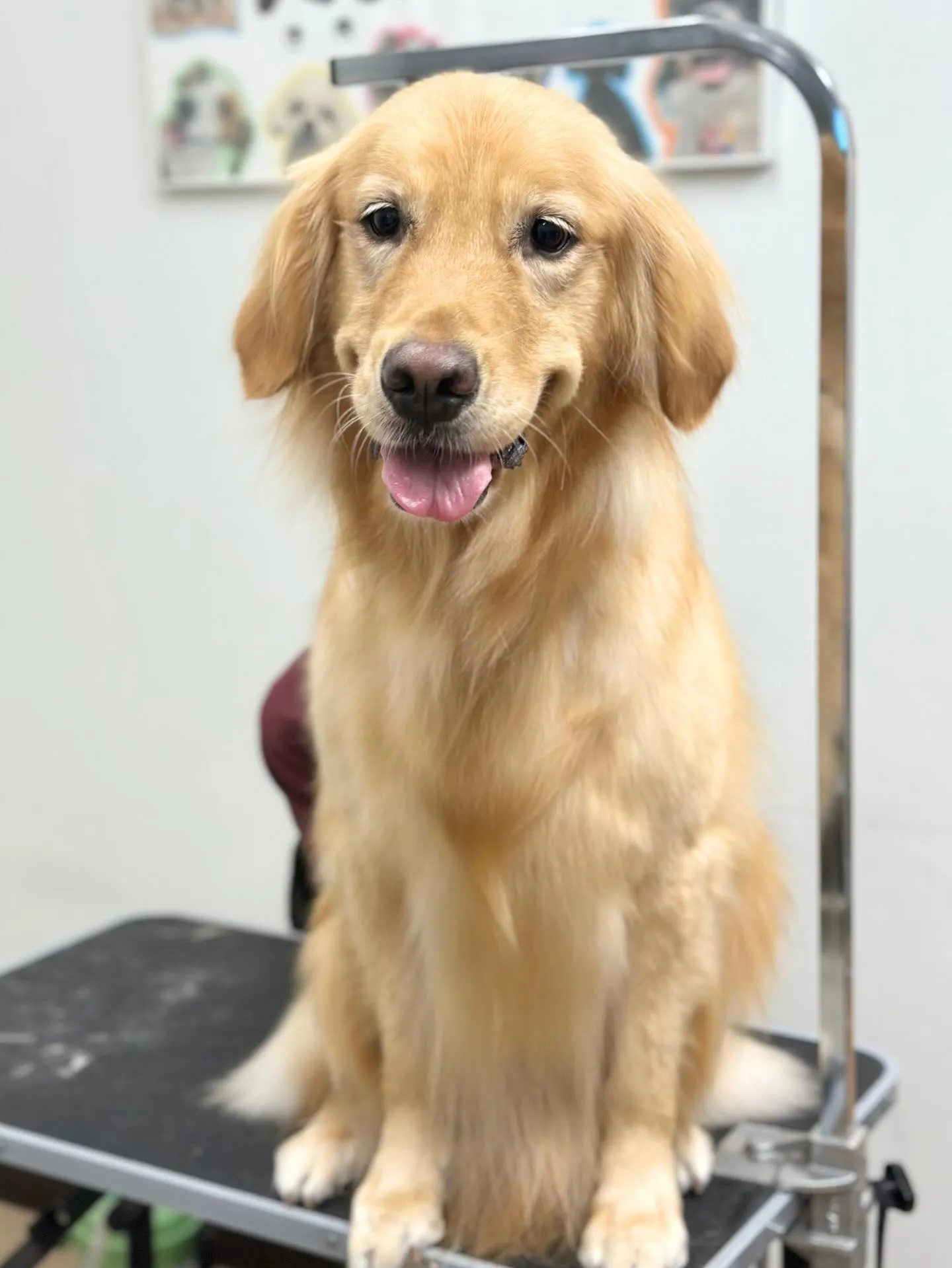 🌻つきくん･ももちゃん🌻