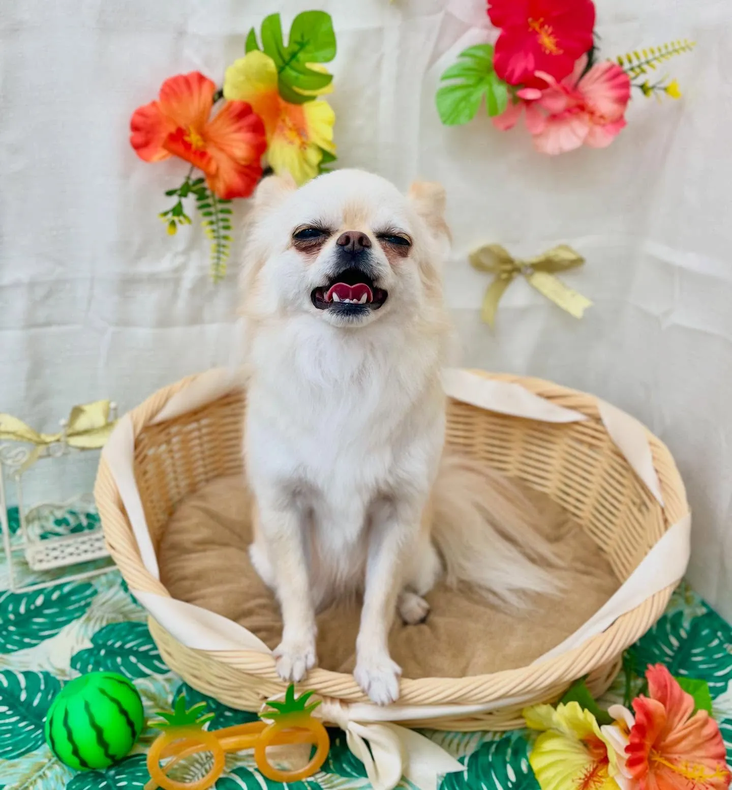 すうちゃん🏖☀️