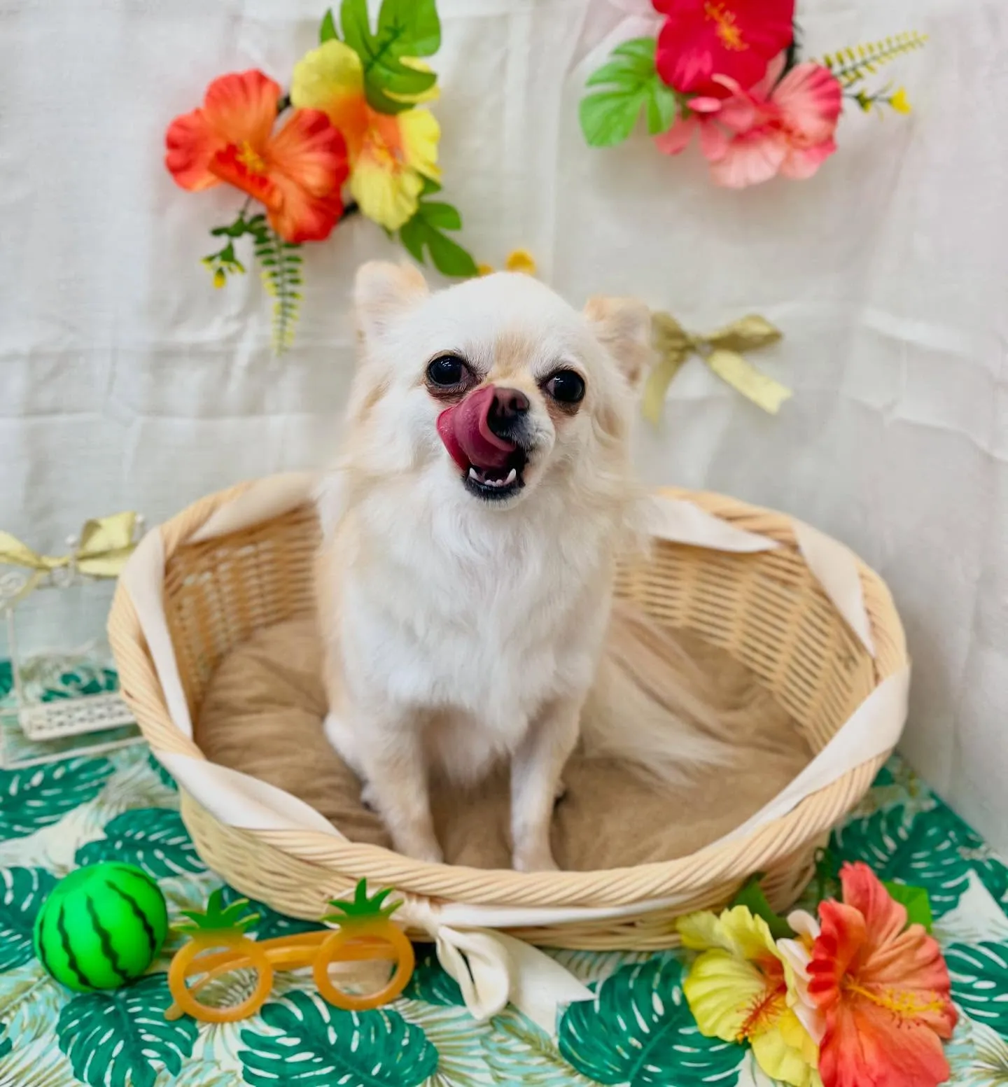 すうちゃん🏖☀️