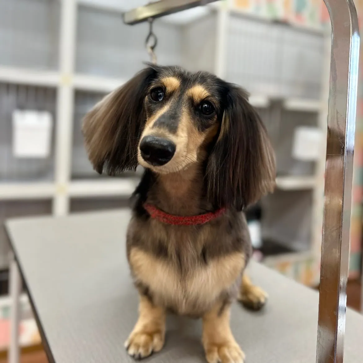 ラルフくん☀️