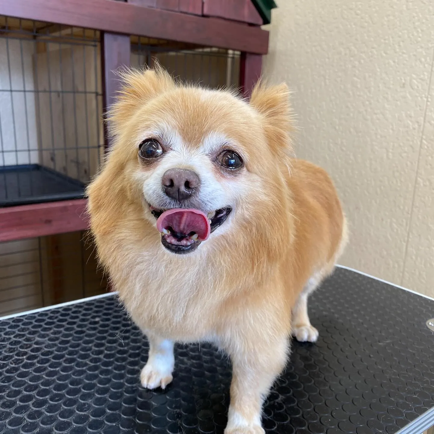 ジャックくん💓