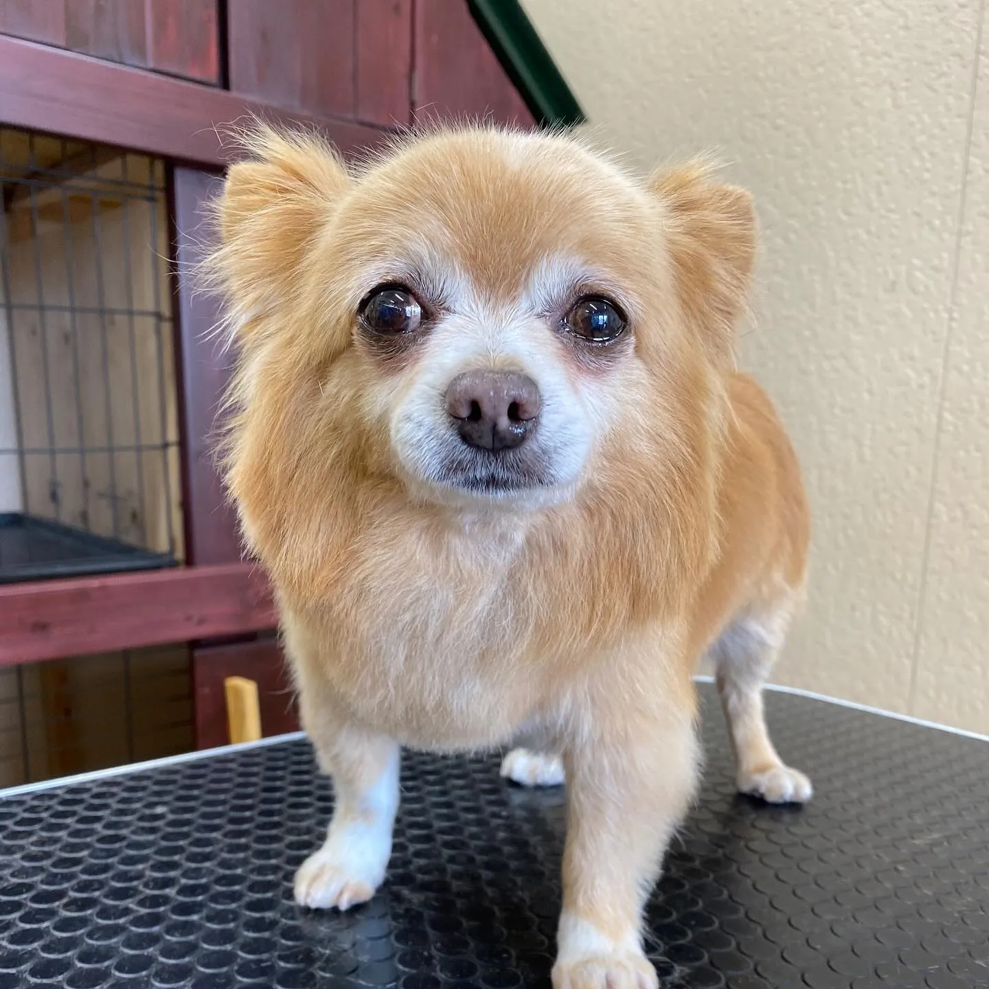 ジャックくん💓