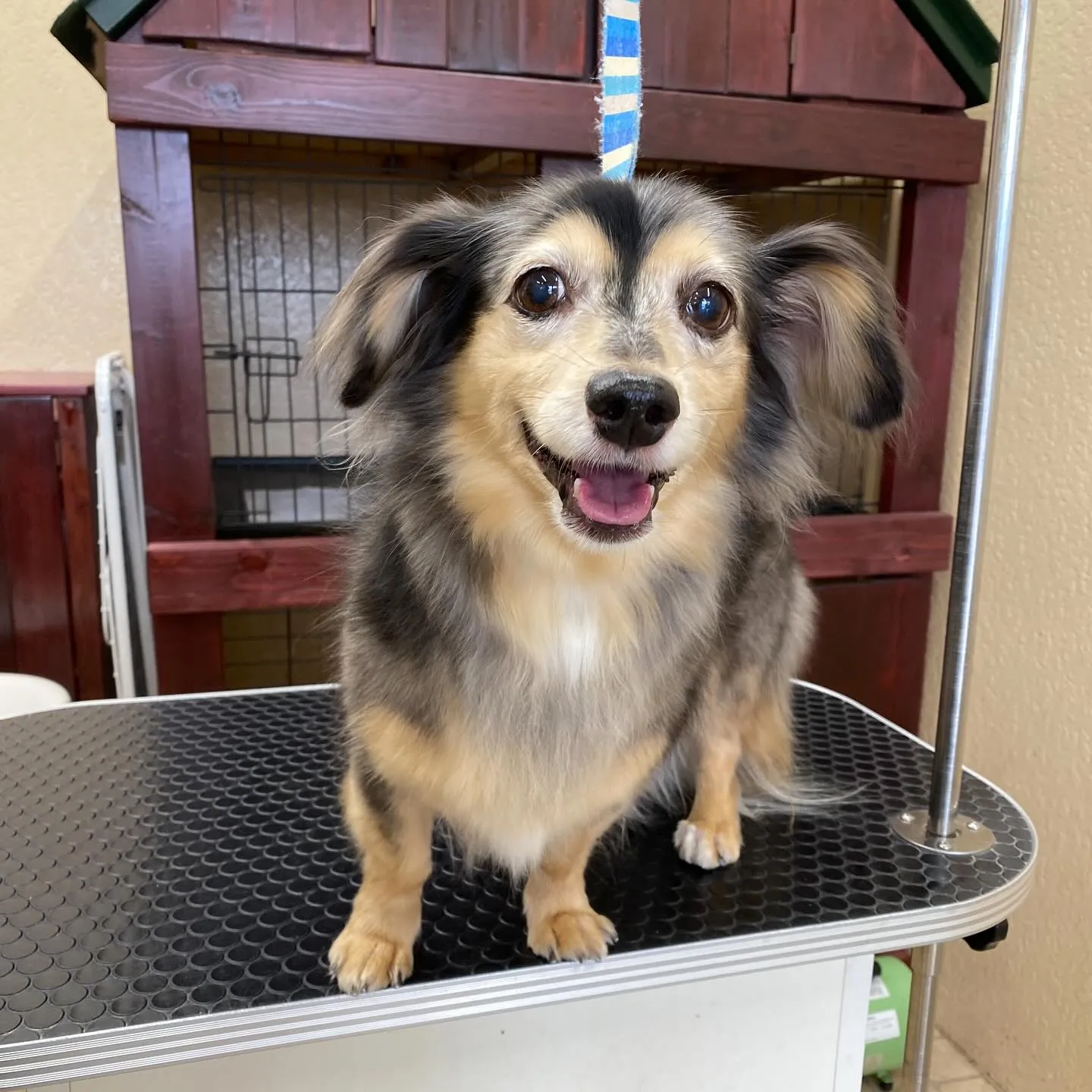 ラムちゃん、キキちゃん💓