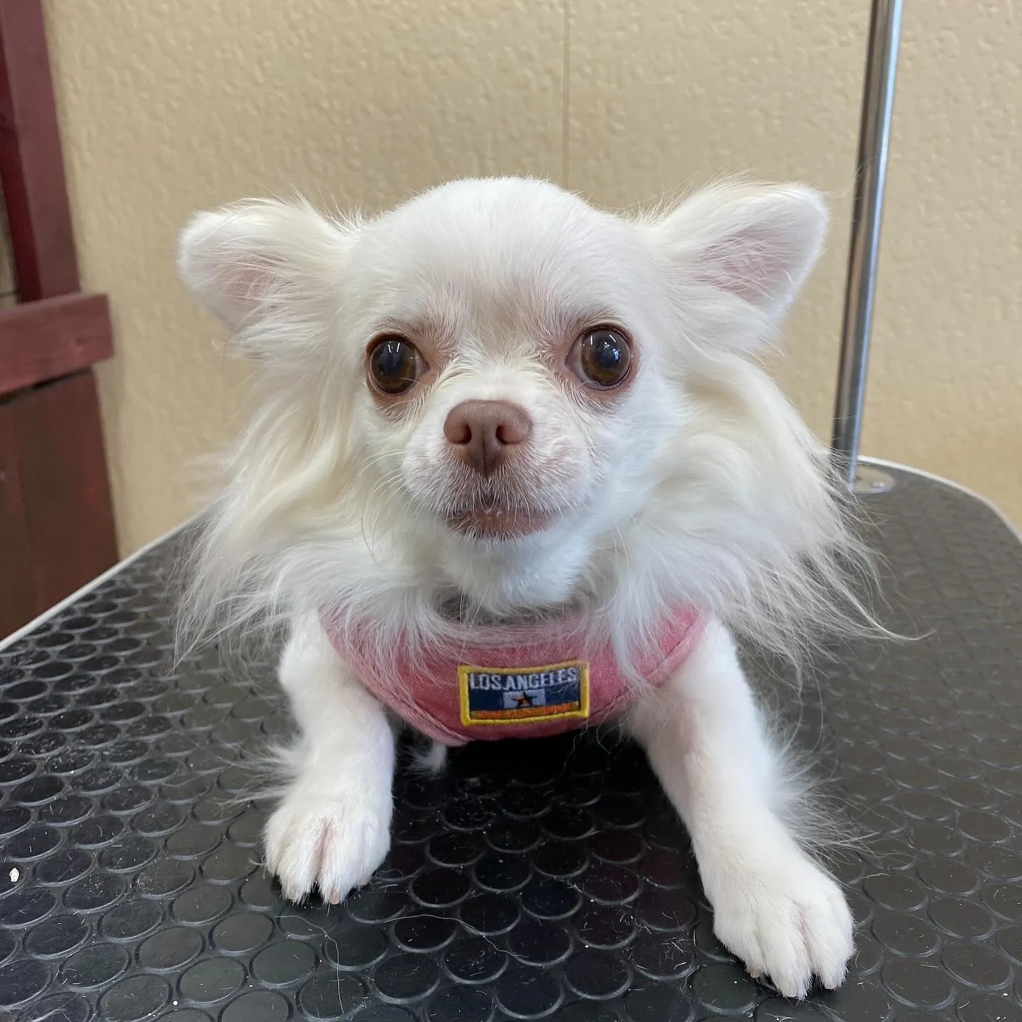 ラムちゃん、キキちゃん💓