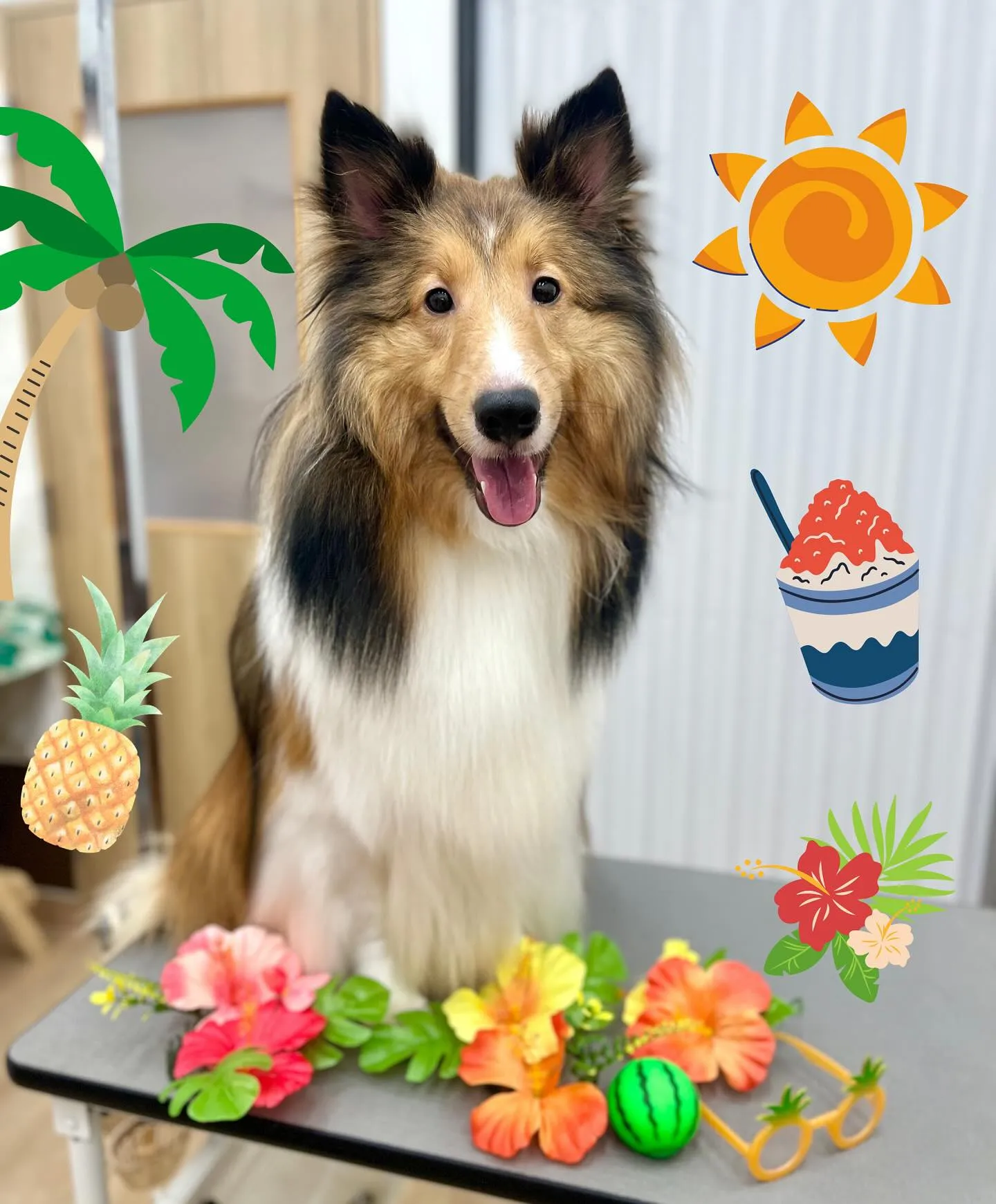 ぽてとくん🏖🍟