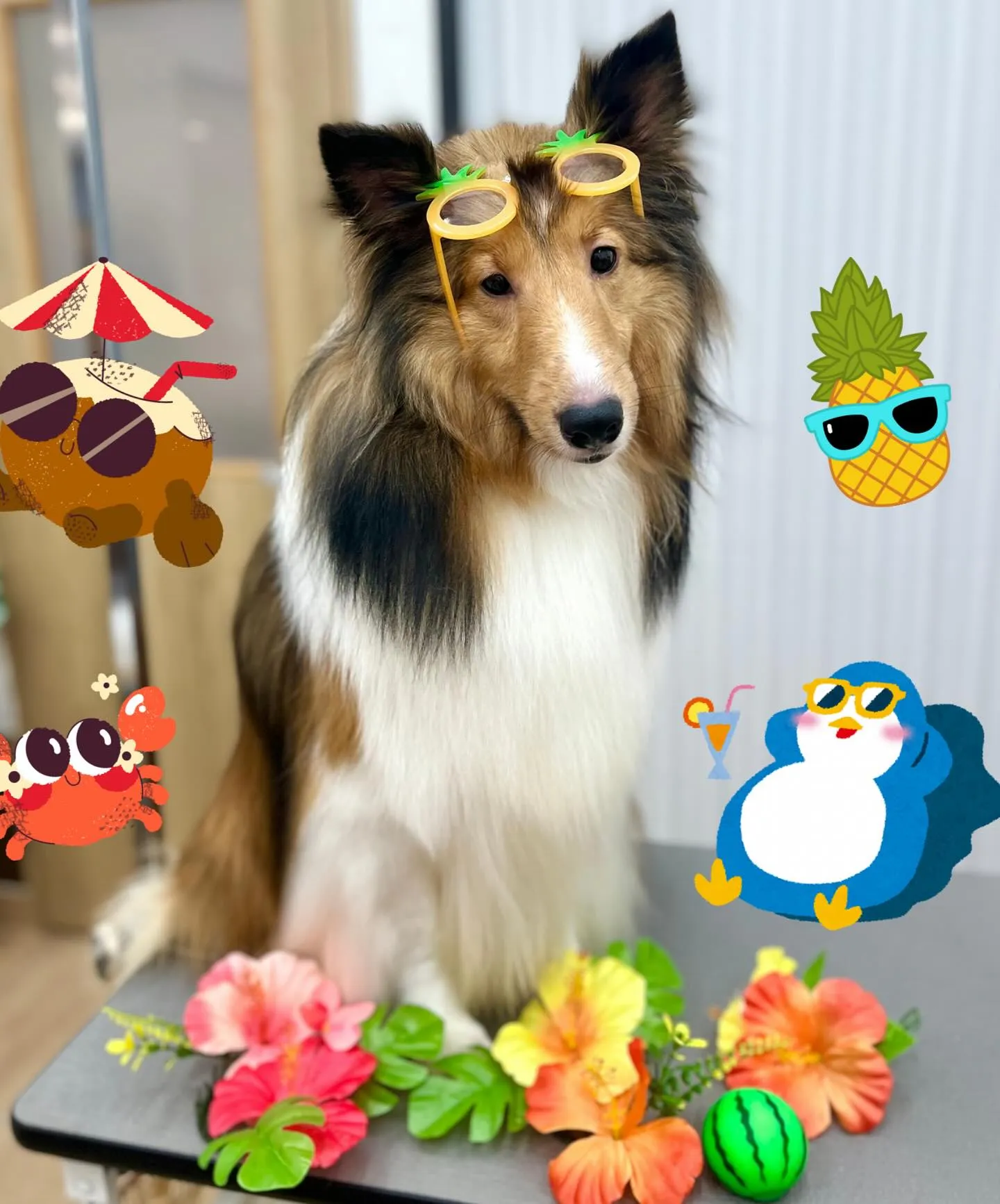 ぽてとくん🏖🍟