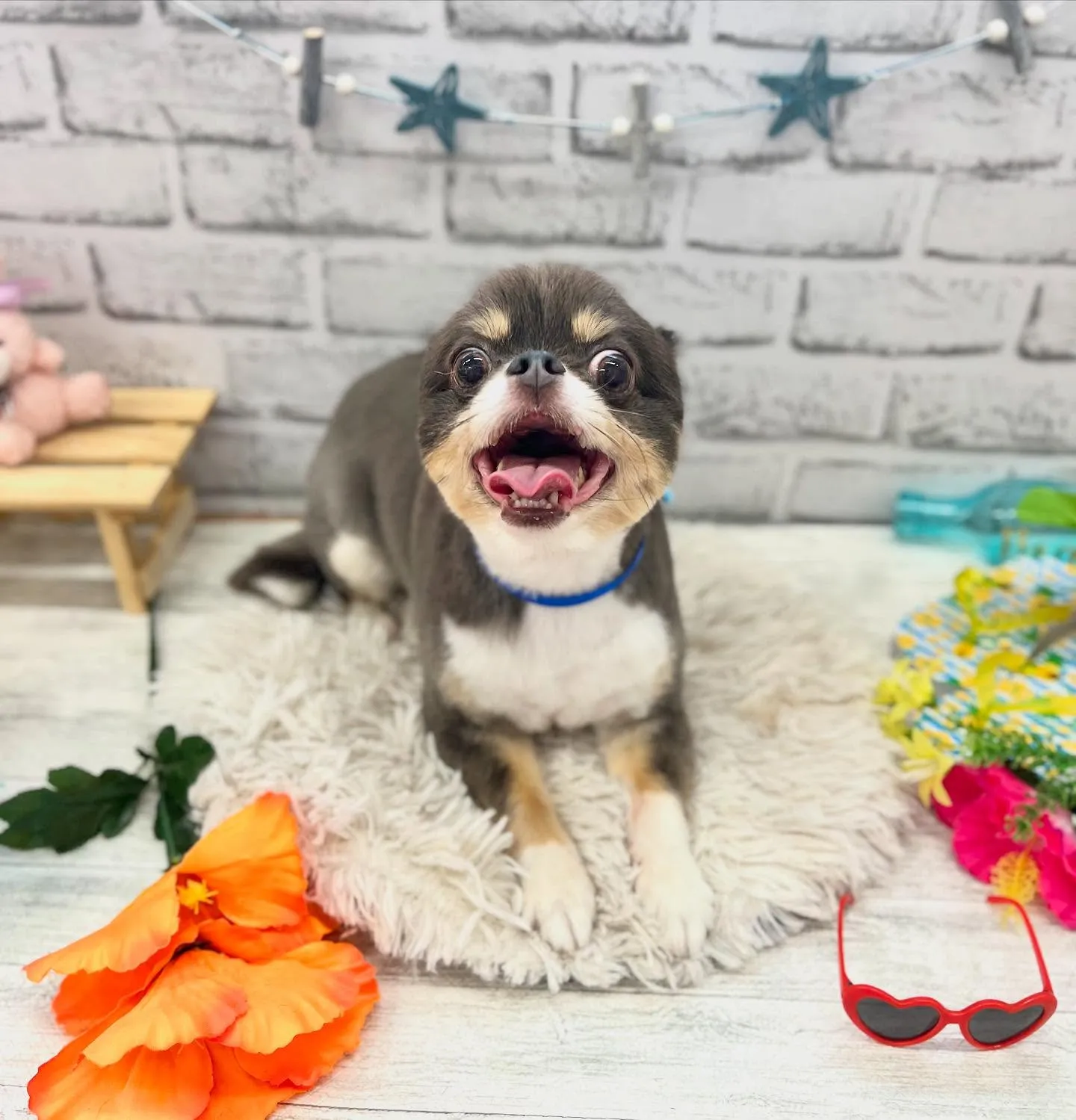 クーくん🏖☀️