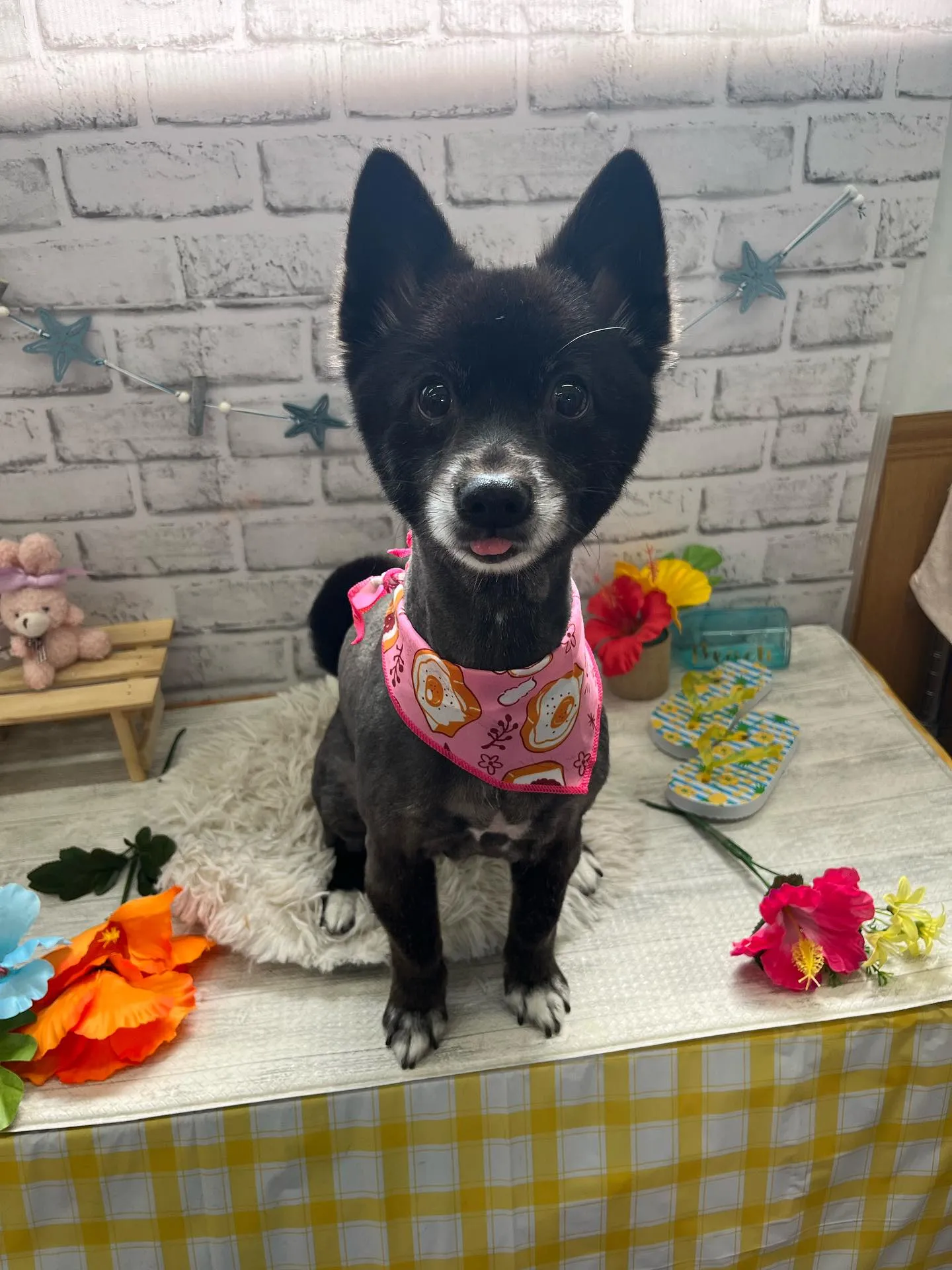 ニコちゃん︎💕︎︎