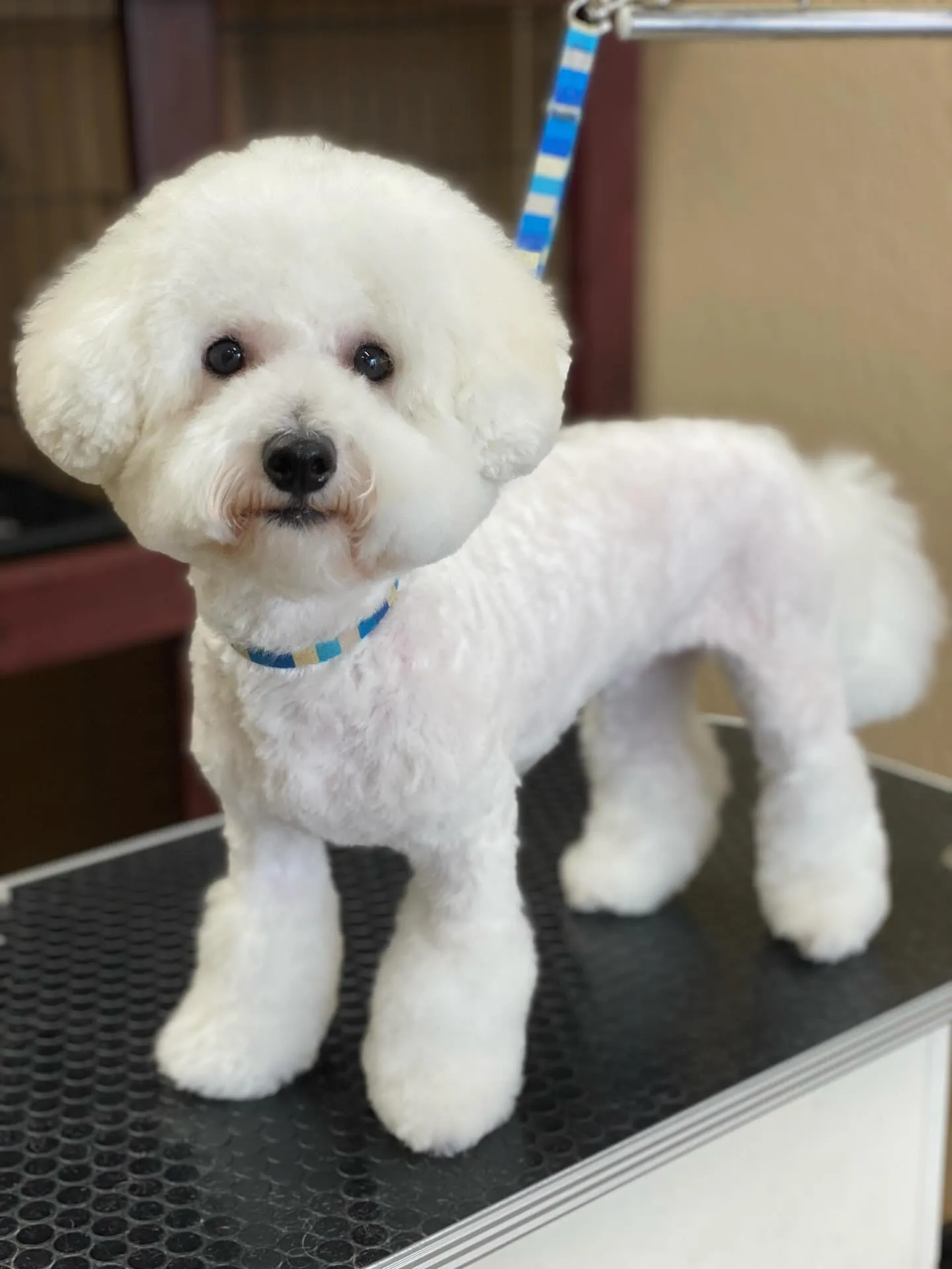 じゅるるちゃん💓