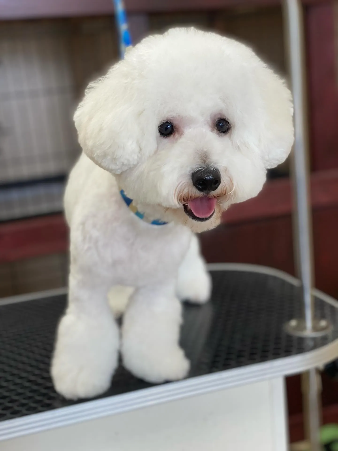 じゅるるちゃん💓