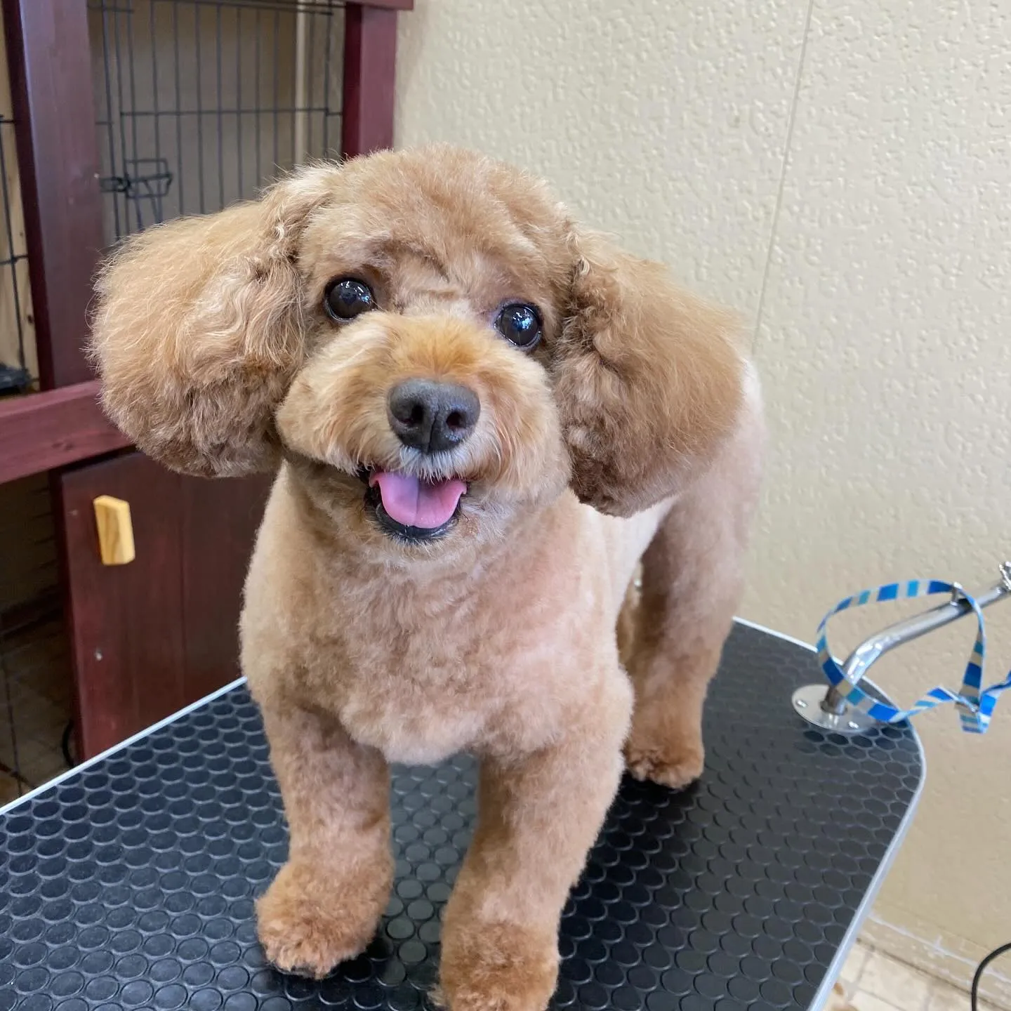 ムックちゃん💓