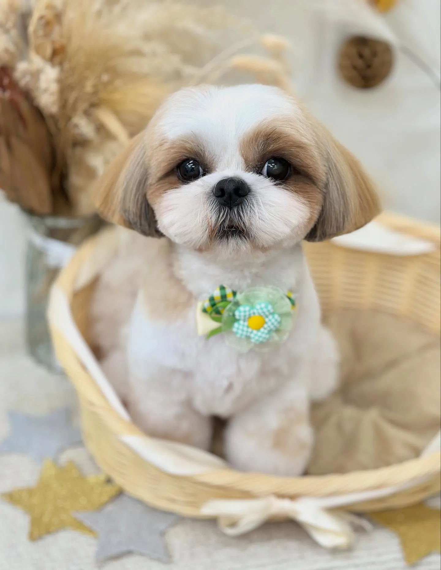 ちくわくん🧸✨