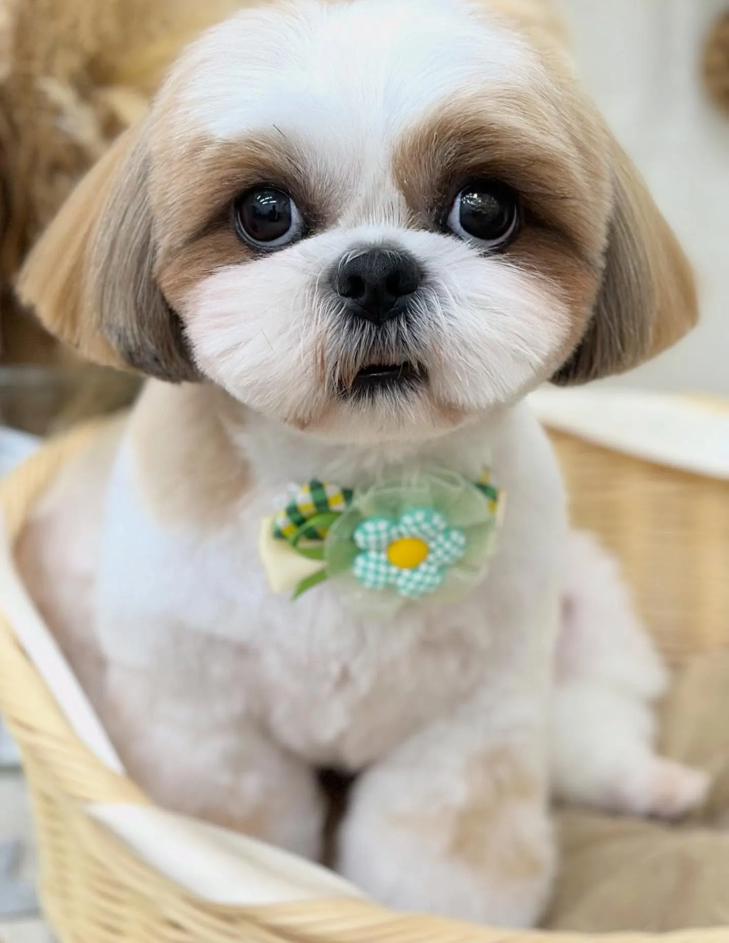 ちくわくん🧸✨