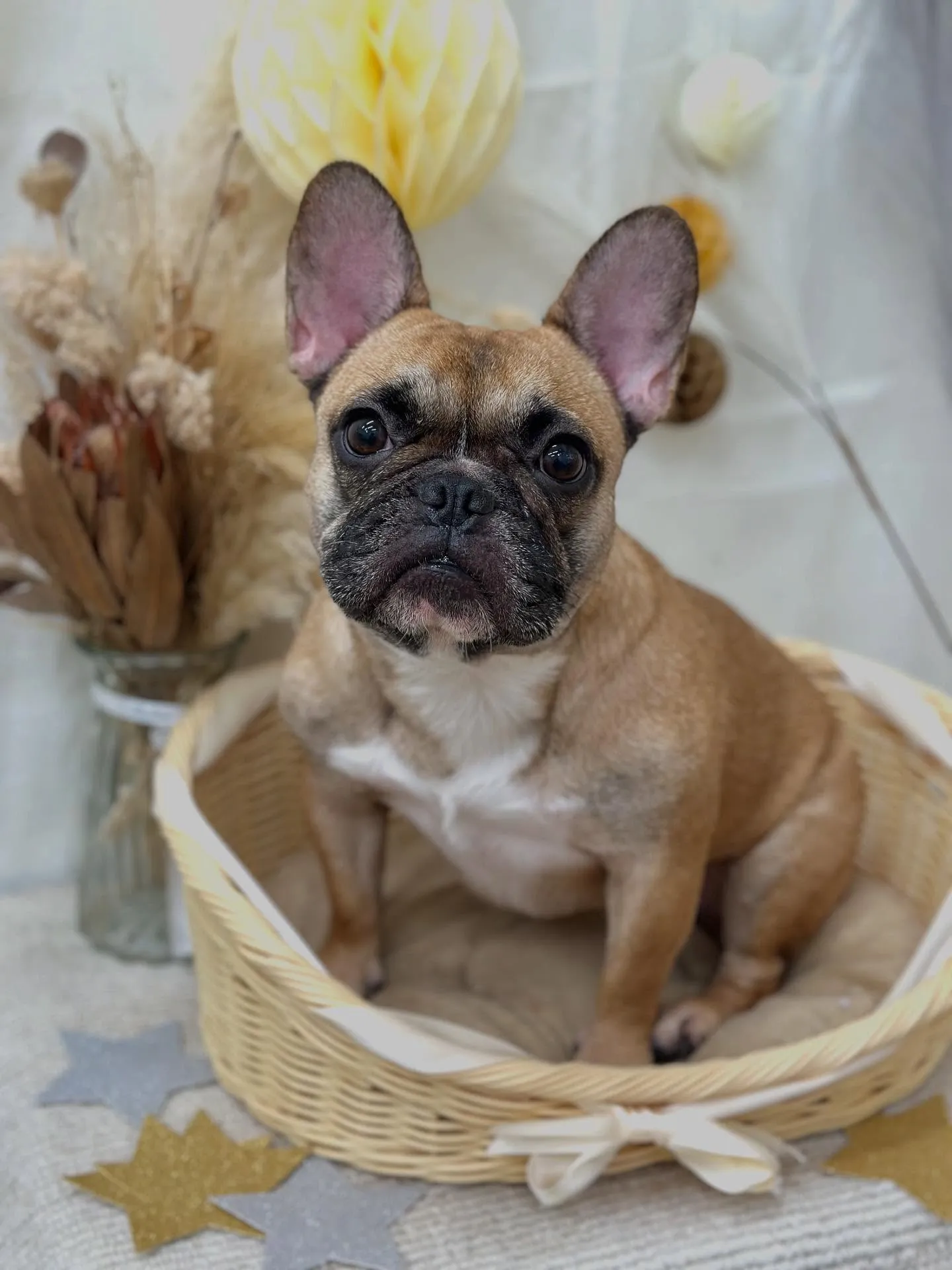 ネオちゃん🧸🍒