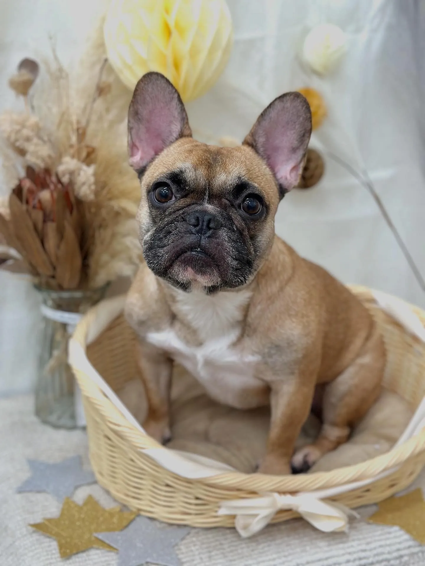 ネオちゃん🧸🍒