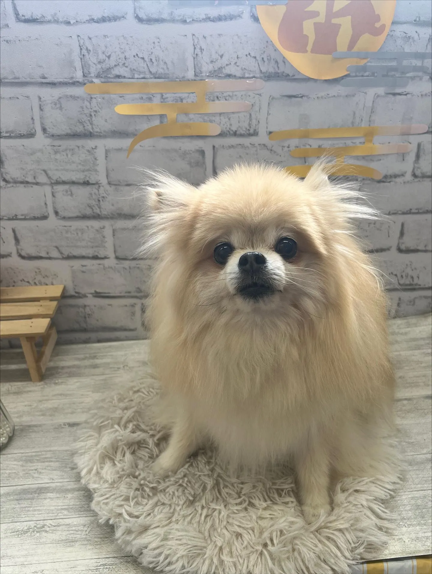 まりんちゃん︎💕︎︎