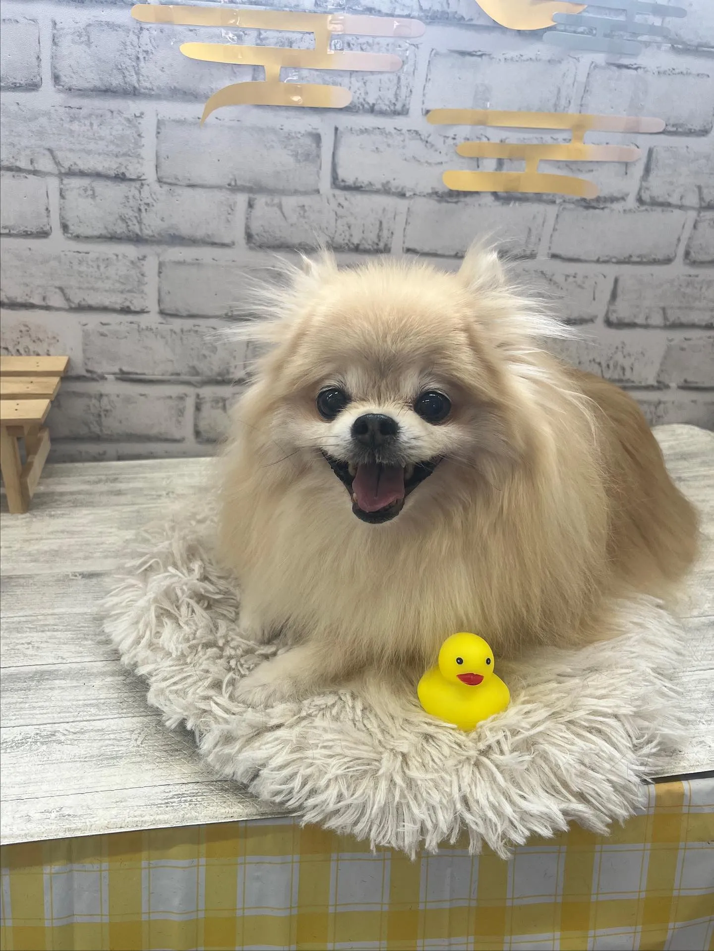 まりんちゃん︎💕︎︎