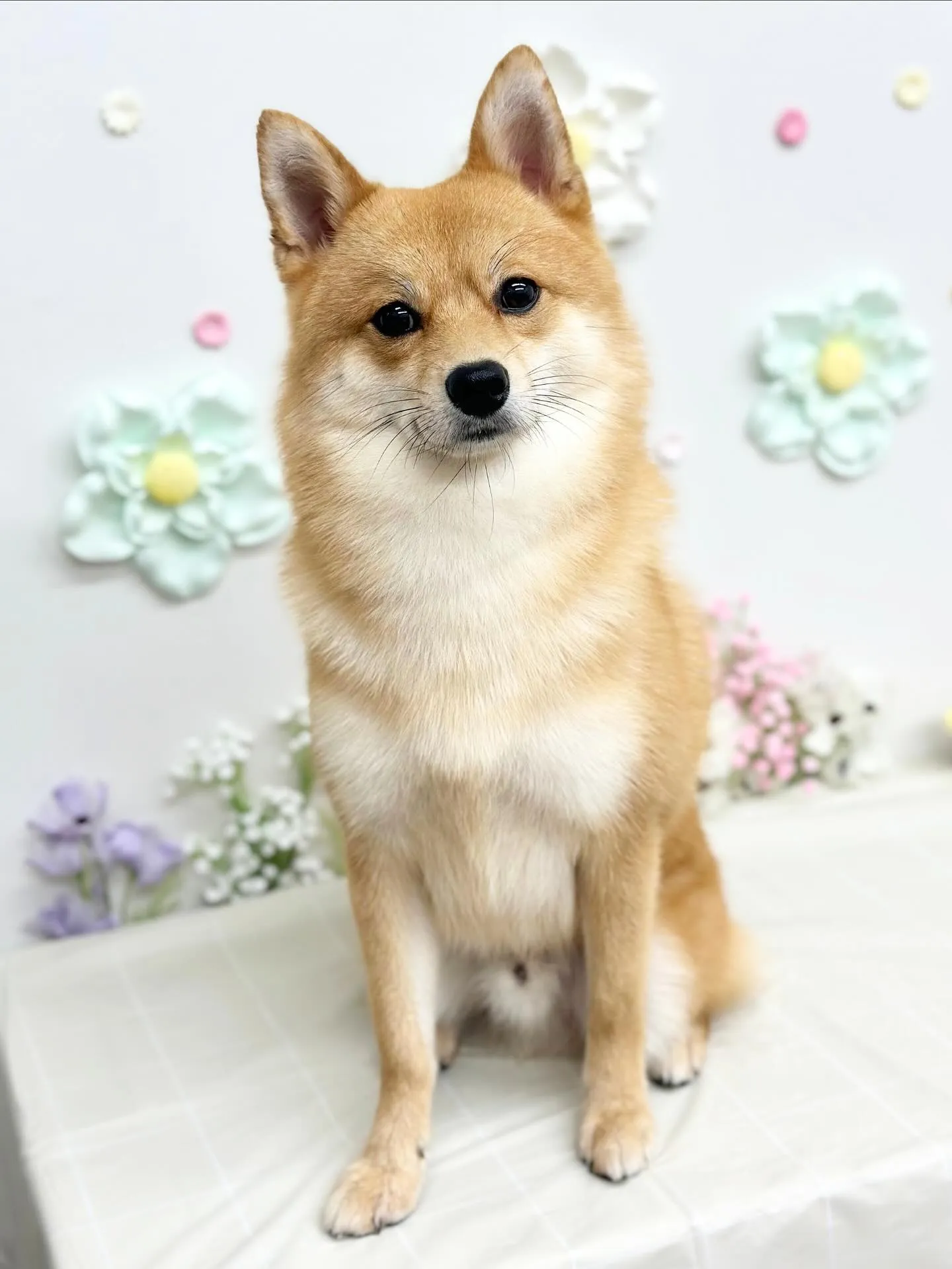 🌿‬ロキくん🌿