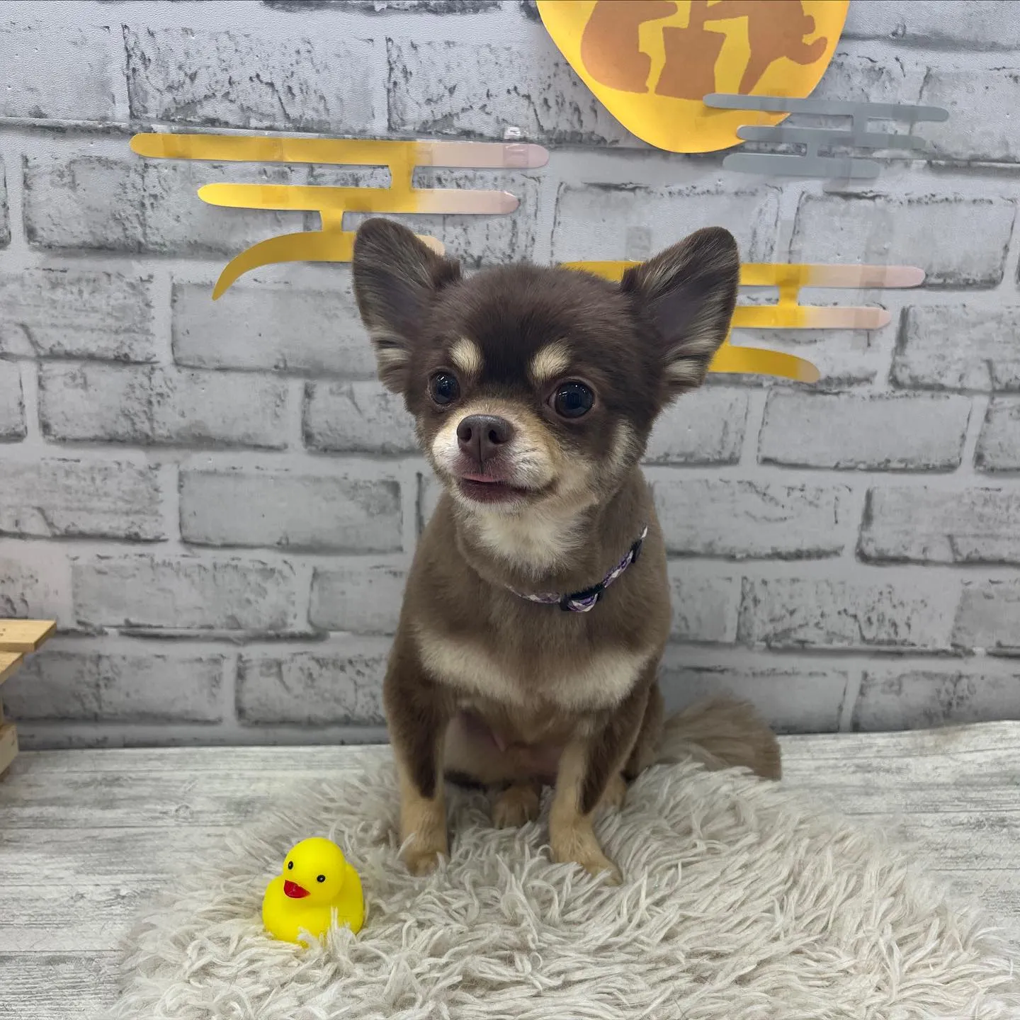 クムちゃん︎💕︎︎