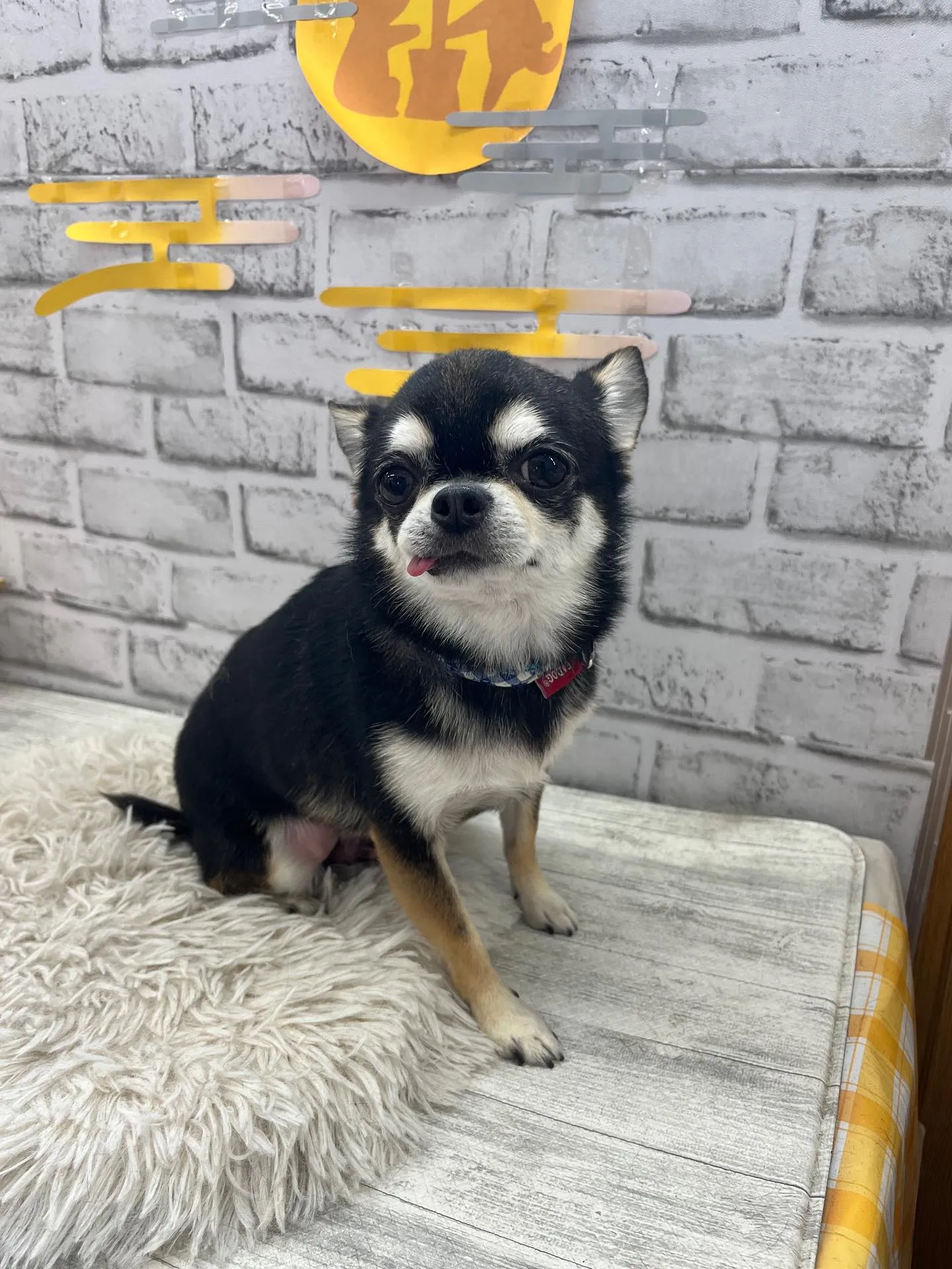 ロクちゃん︎💕︎︎