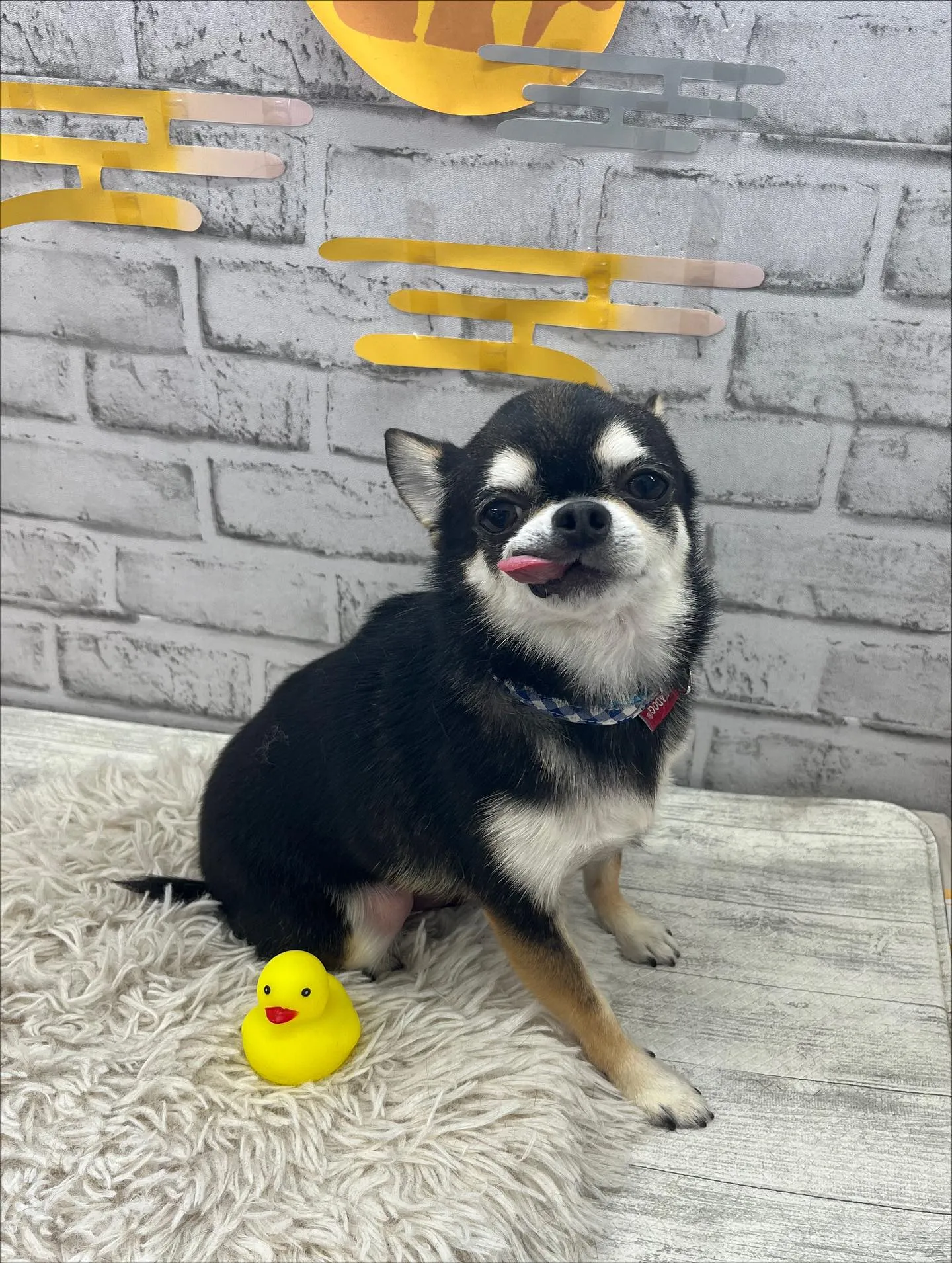 ロクちゃん︎💕︎︎