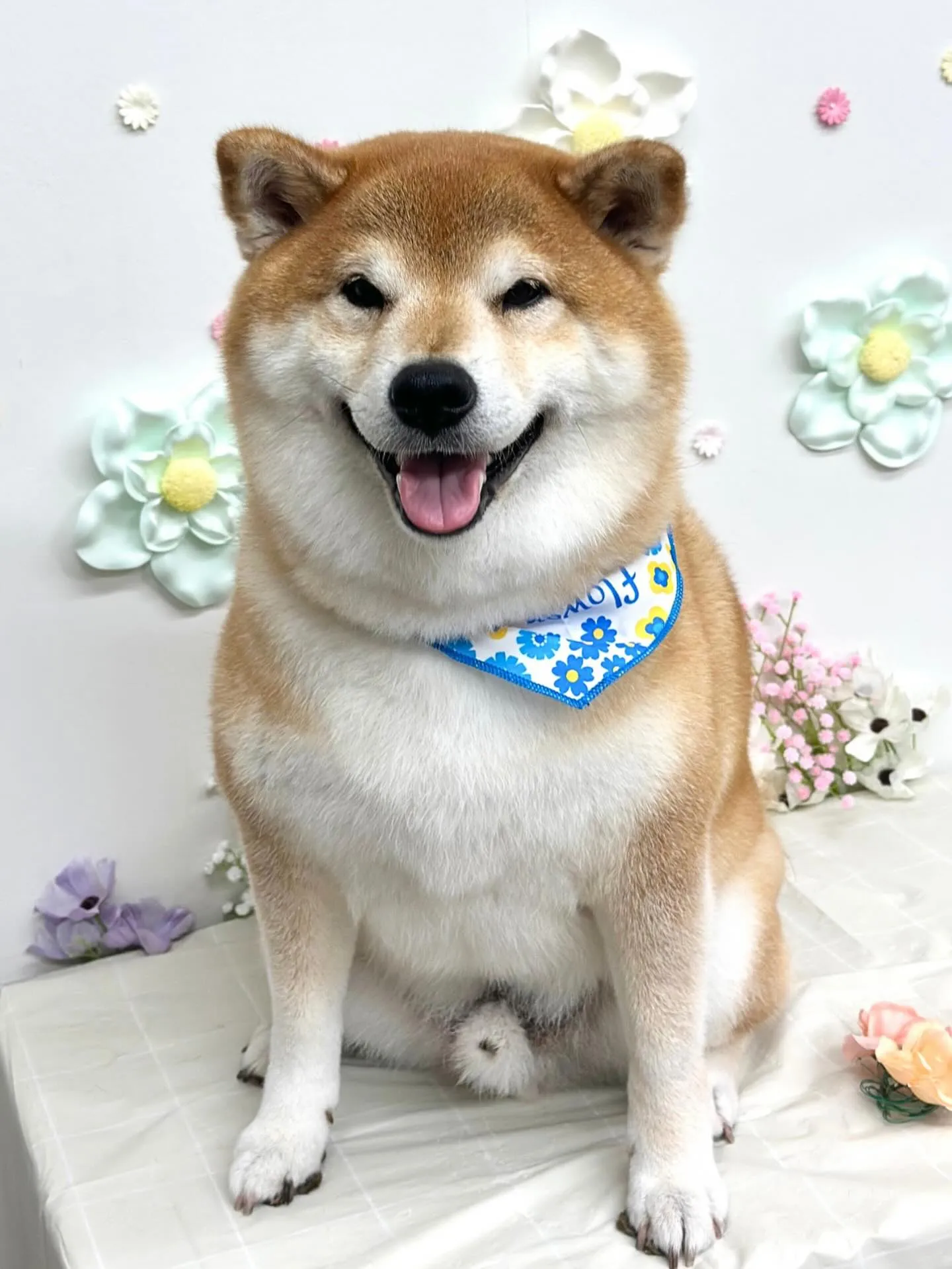 🌿‬まめくん🌿