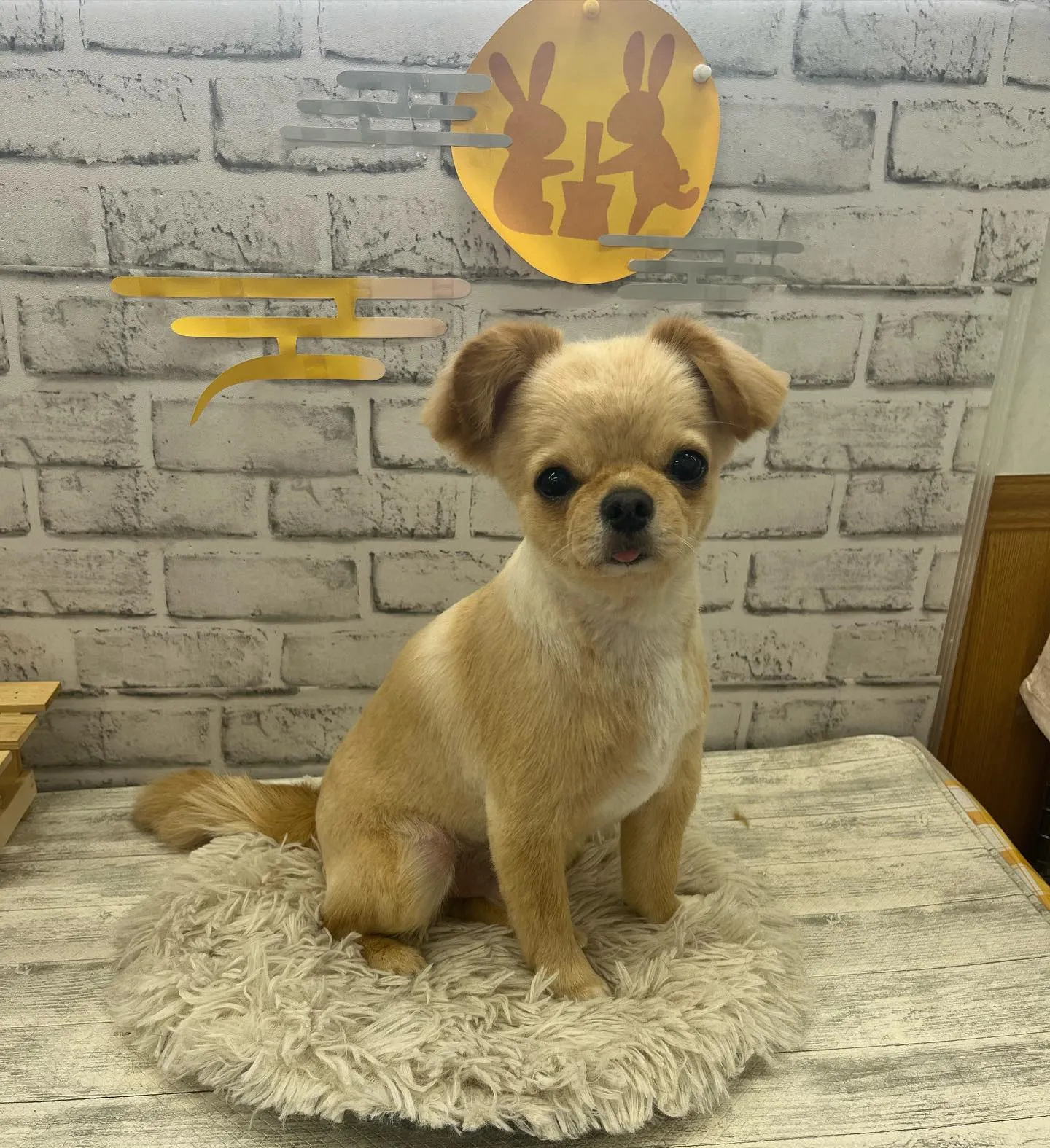 ととまるくん︎💕︎︎