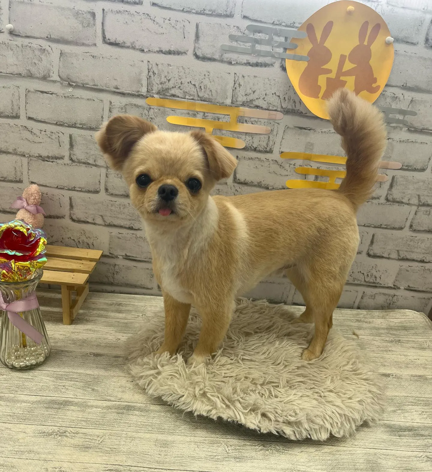 ととまるくん︎💕︎︎