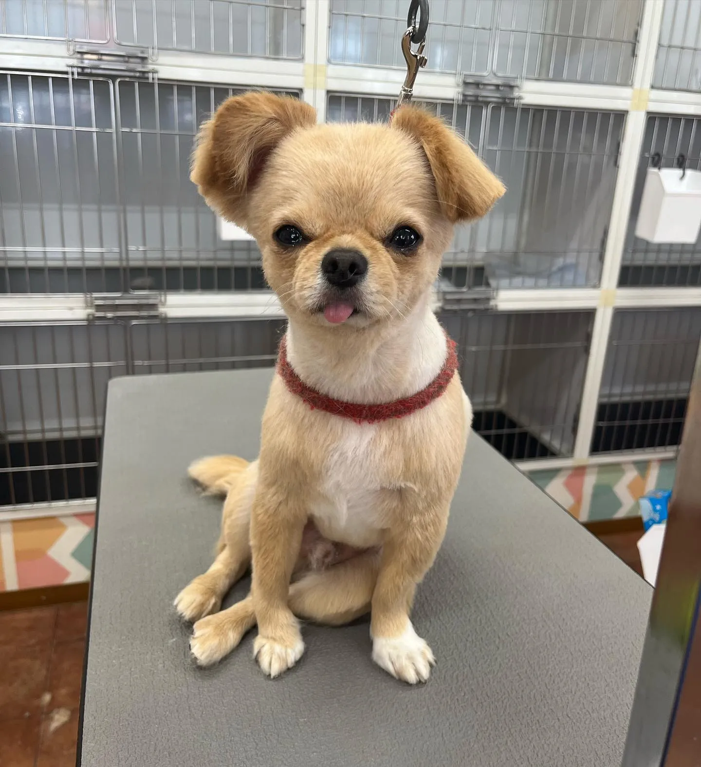 ととまるくん︎💕︎︎