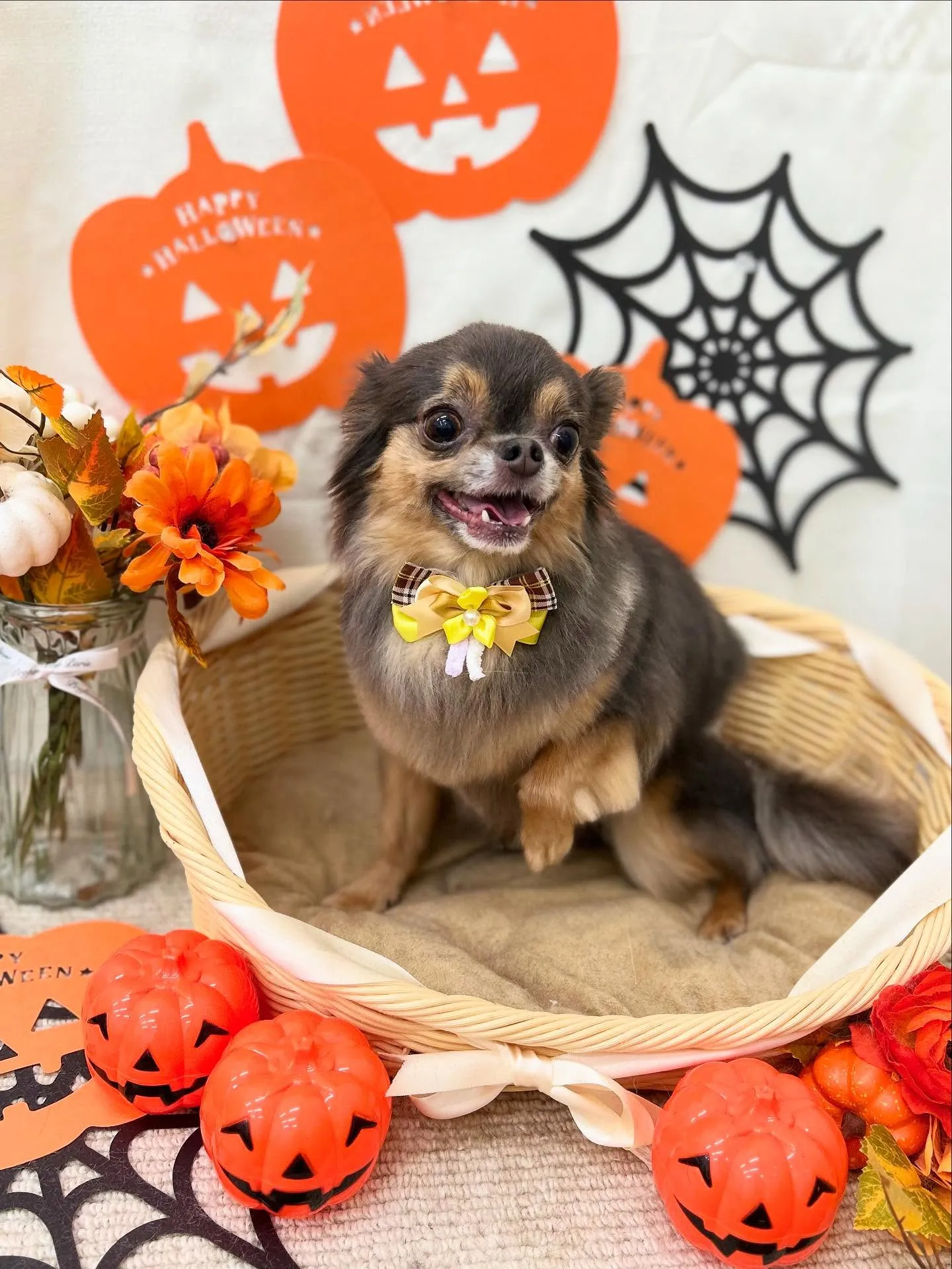 ラプンちゃん🎃