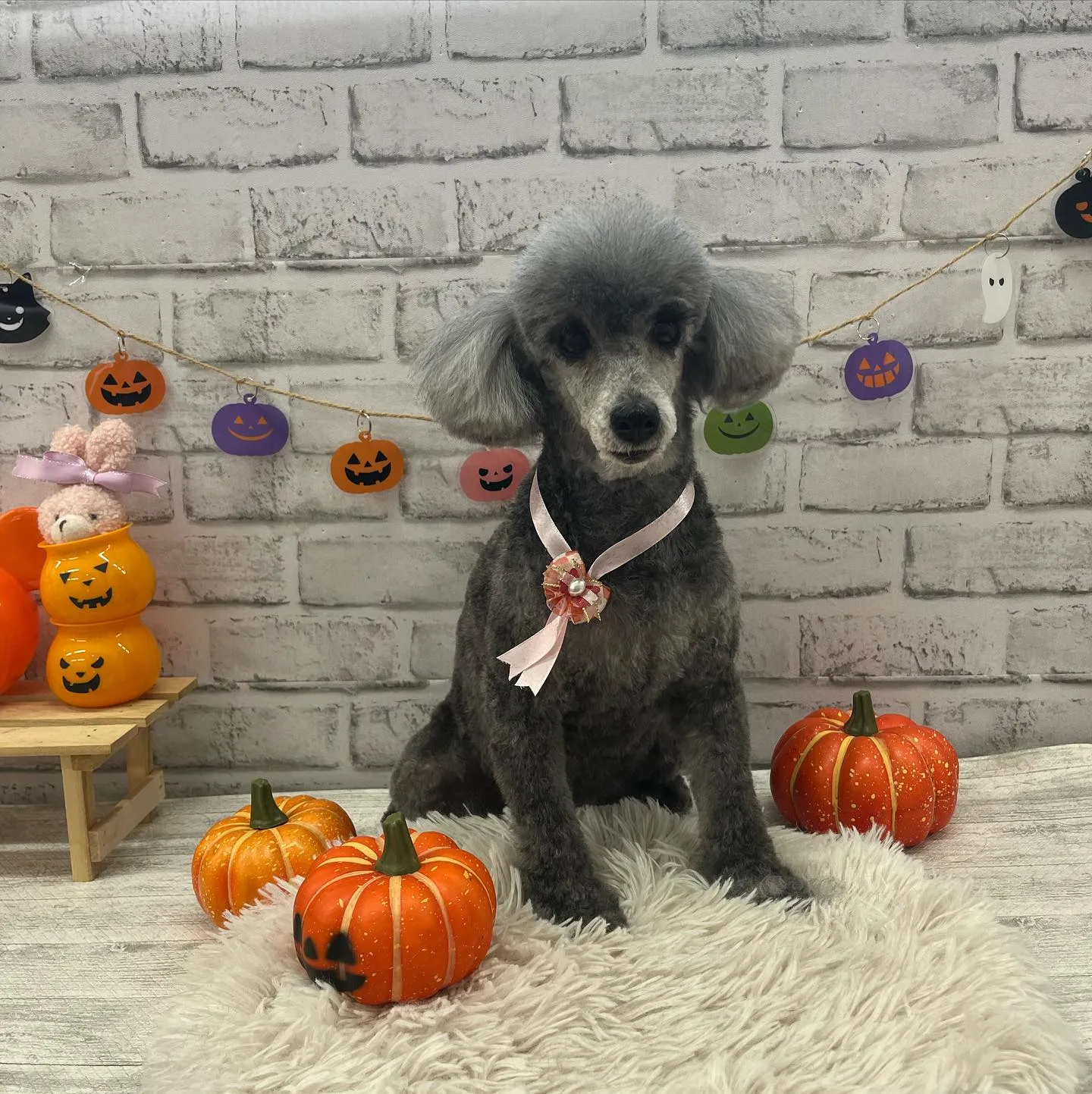 くうちゃん︎💕︎︎