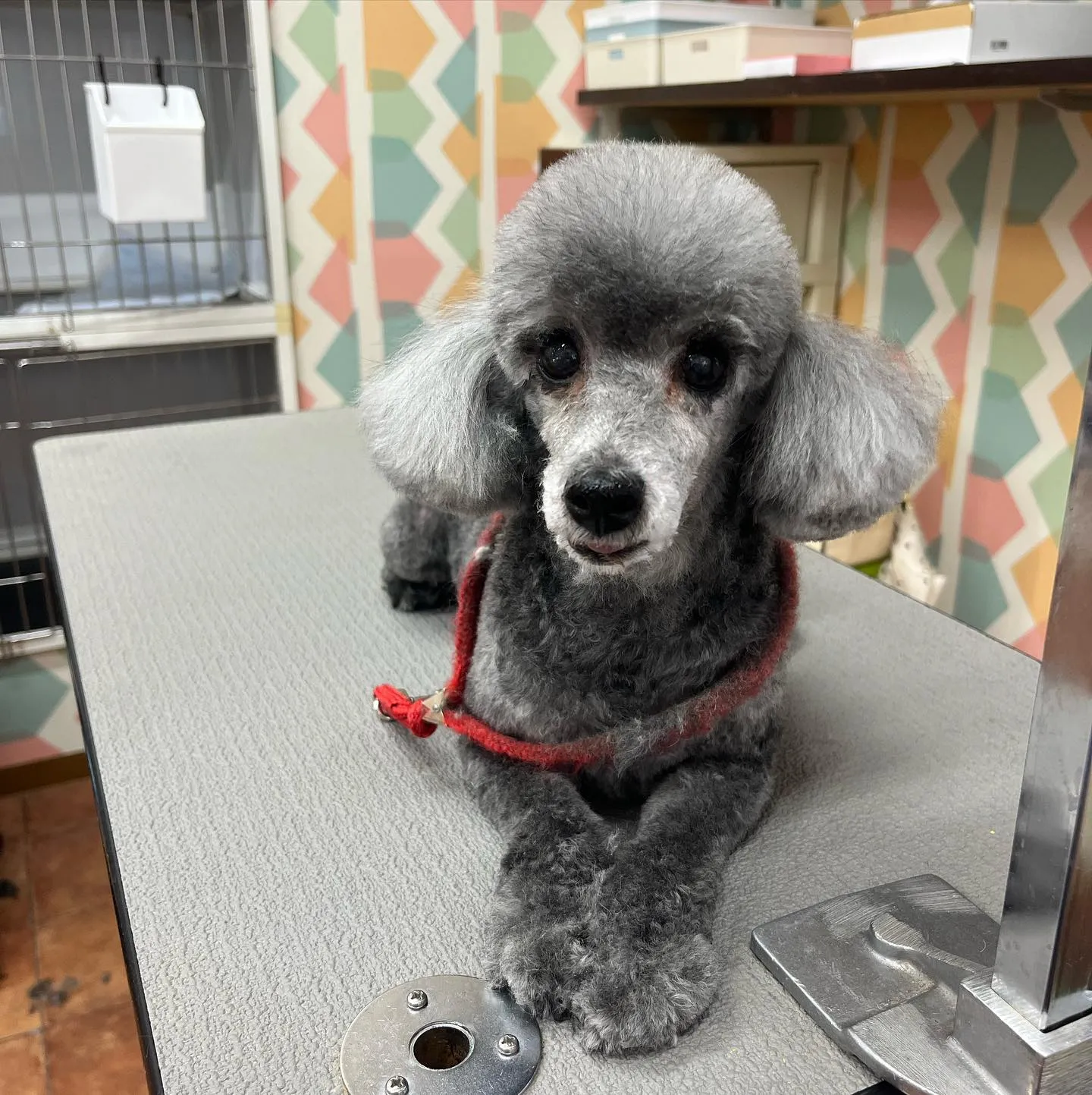 くうちゃん︎💕︎︎