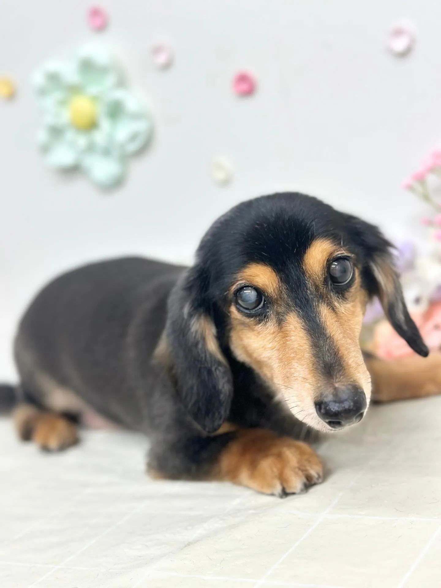 🌿‬ロンくん🌿 