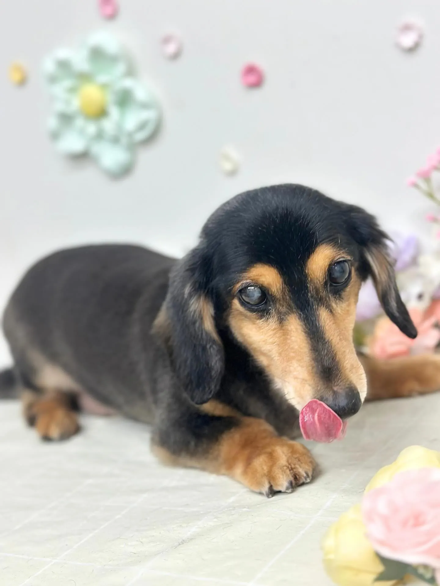 🌿‬ロンくん🌿 