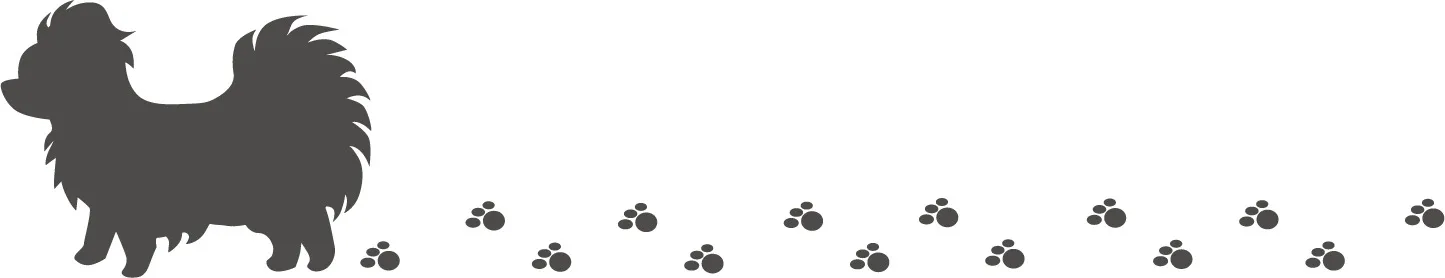 津市の犬肉球乾燥対策とトリミング