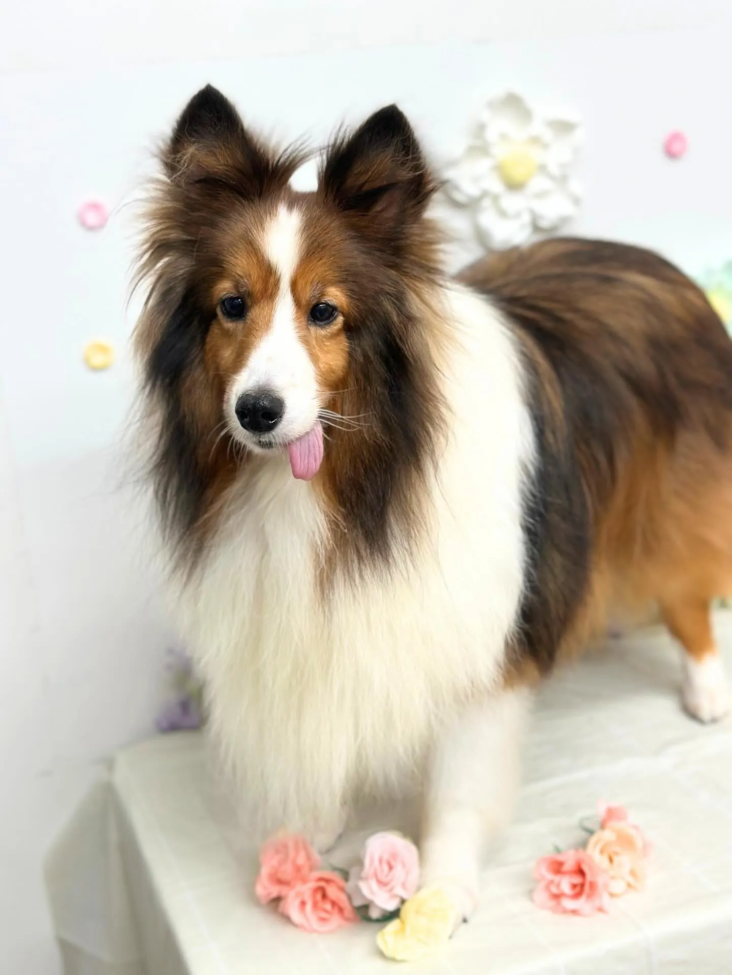 🌿‬りゅうくん🌿