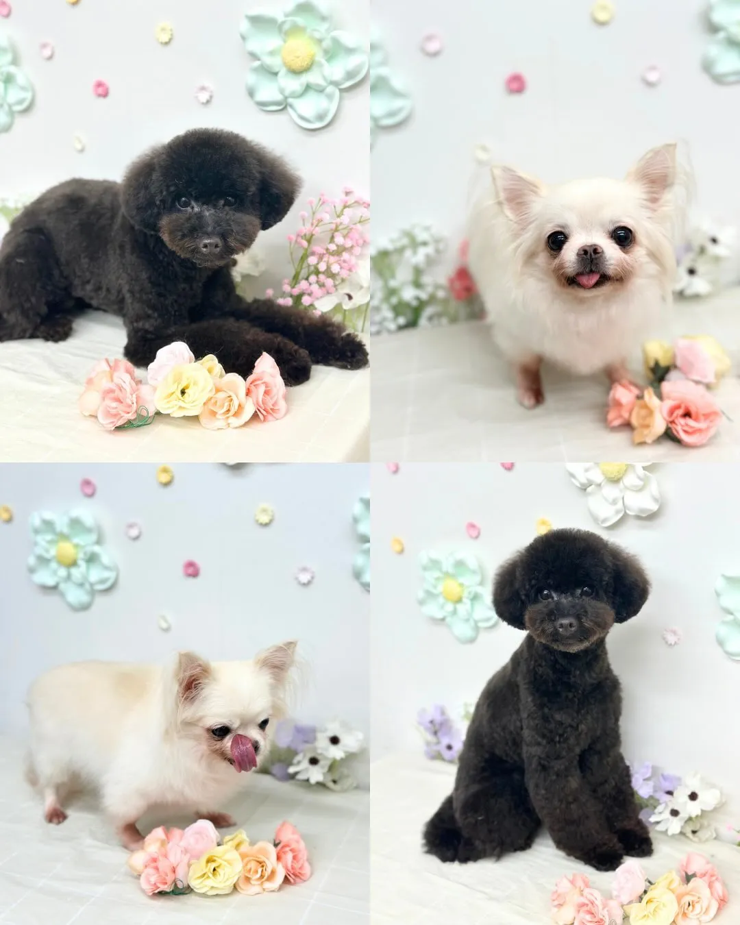 🌿‬つきくん･すずちゃん🌿