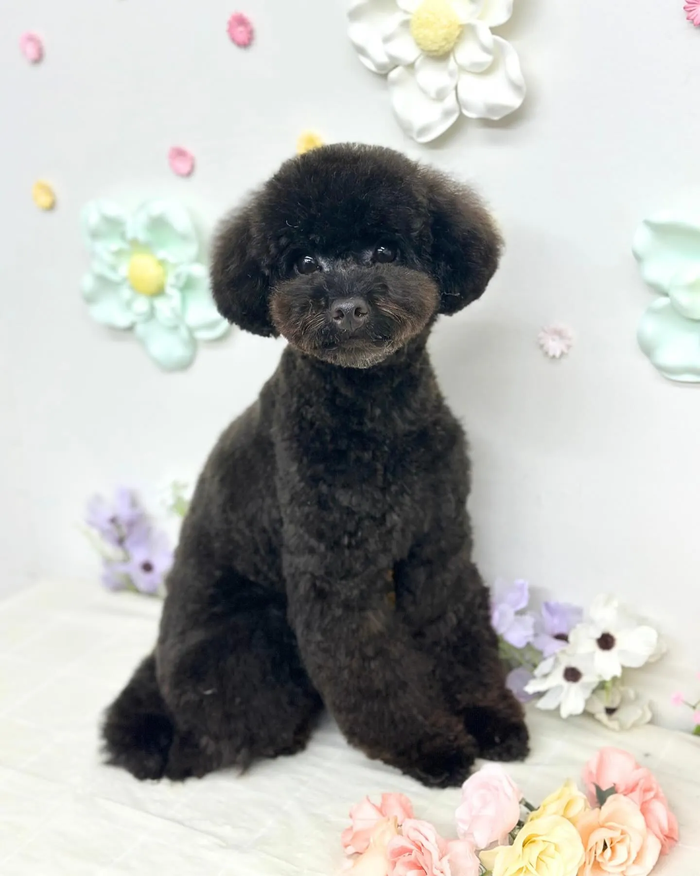 🌿‬つきくん･すずちゃん🌿